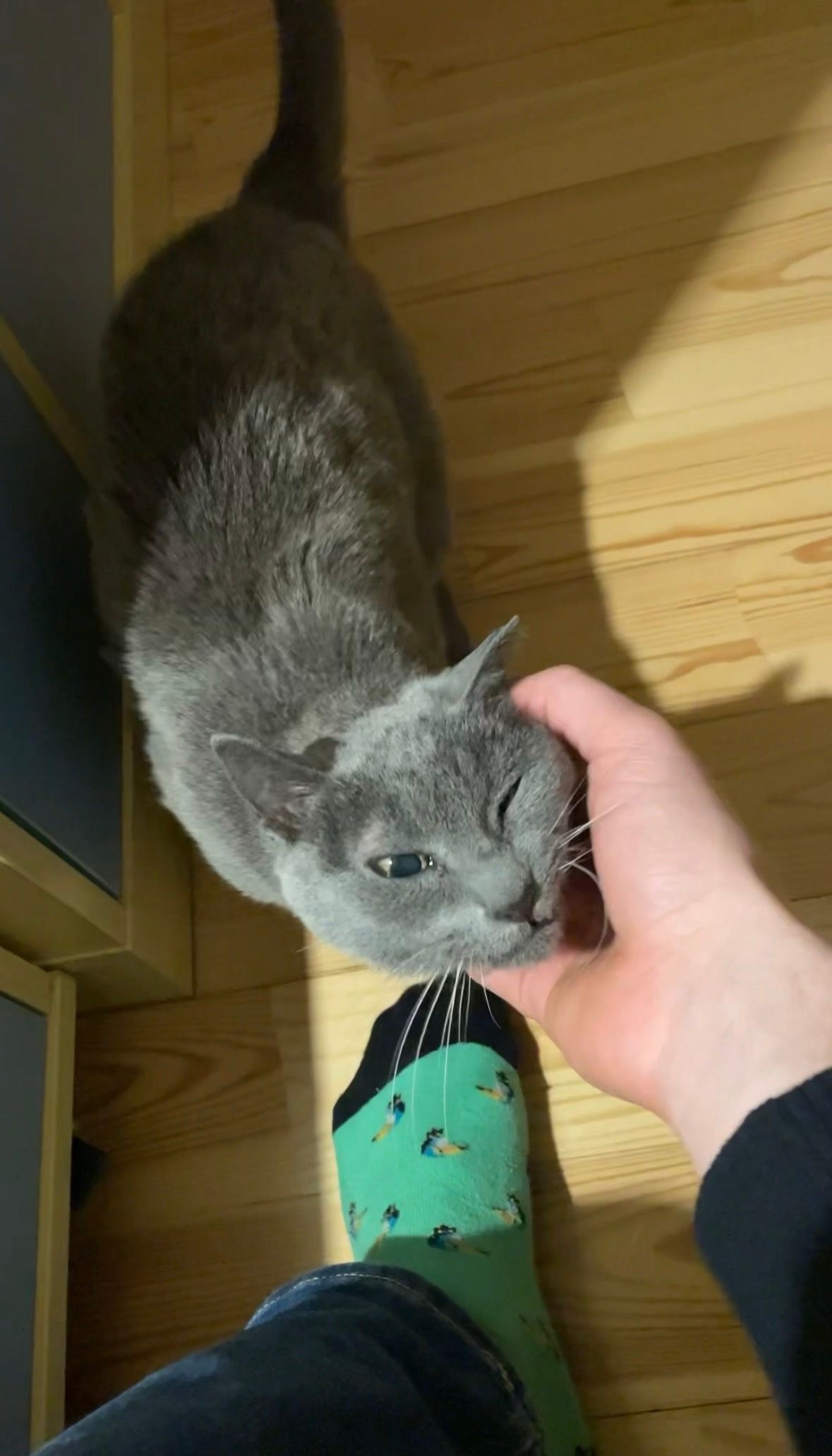 image-12
