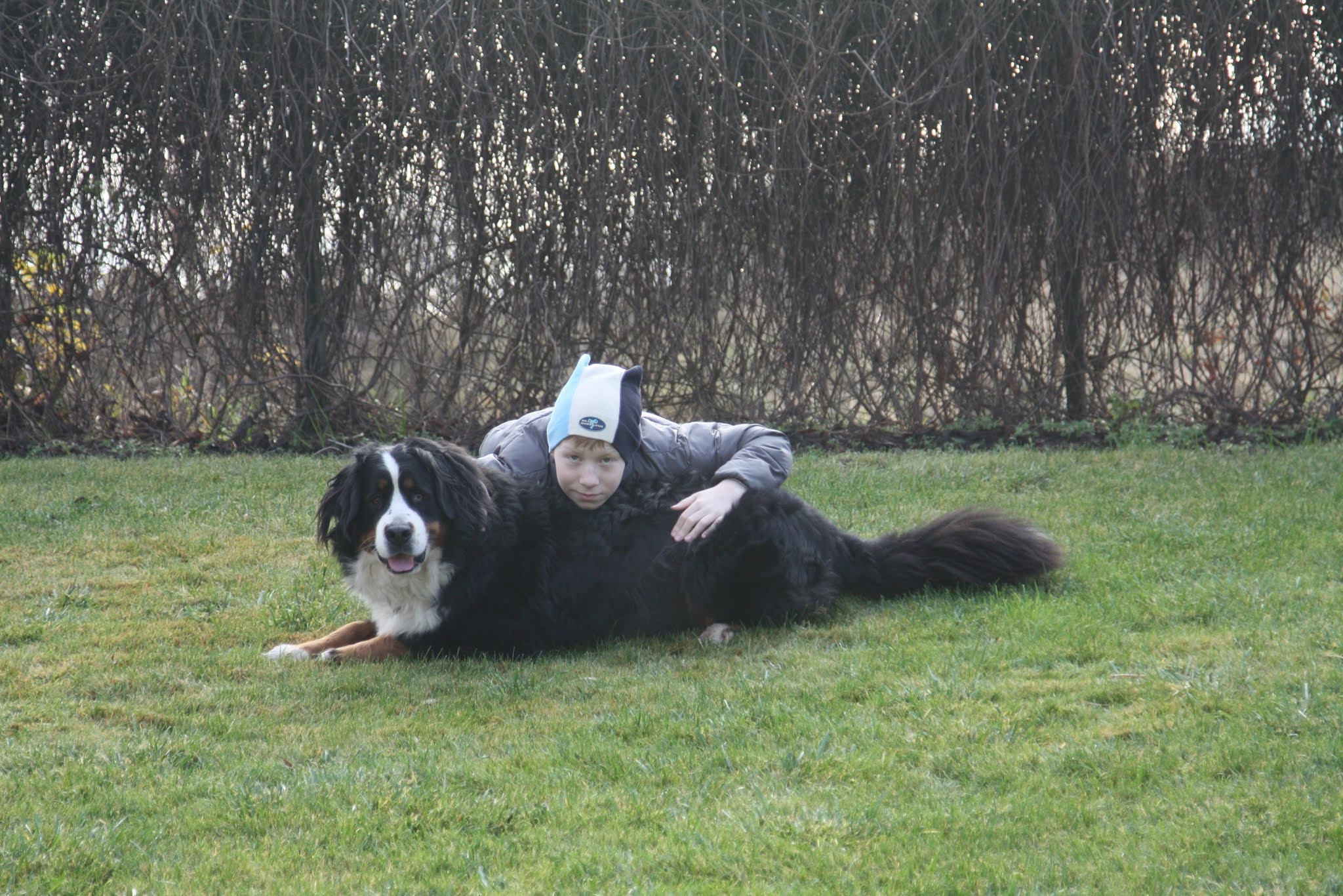 image-6