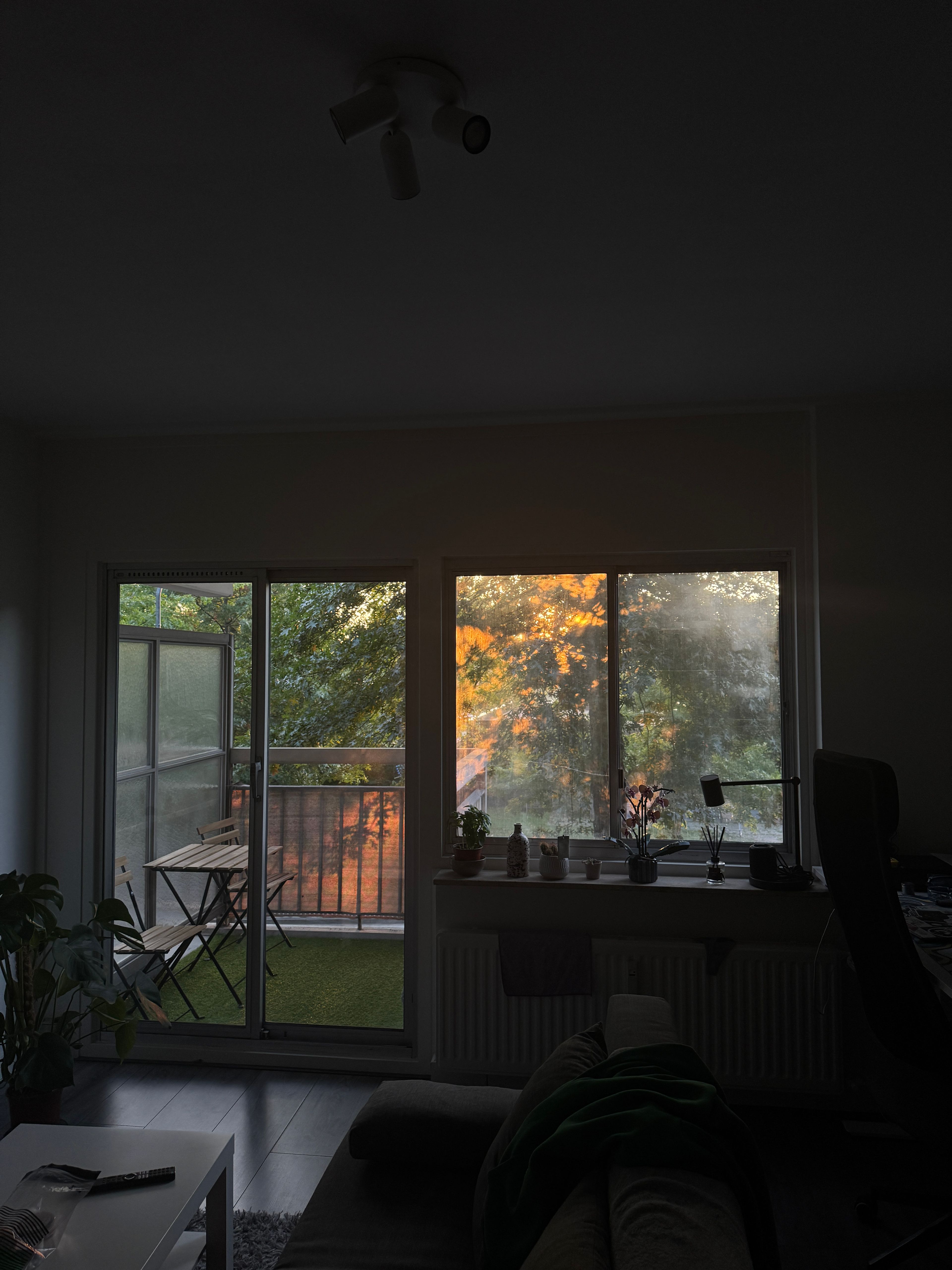 image-17