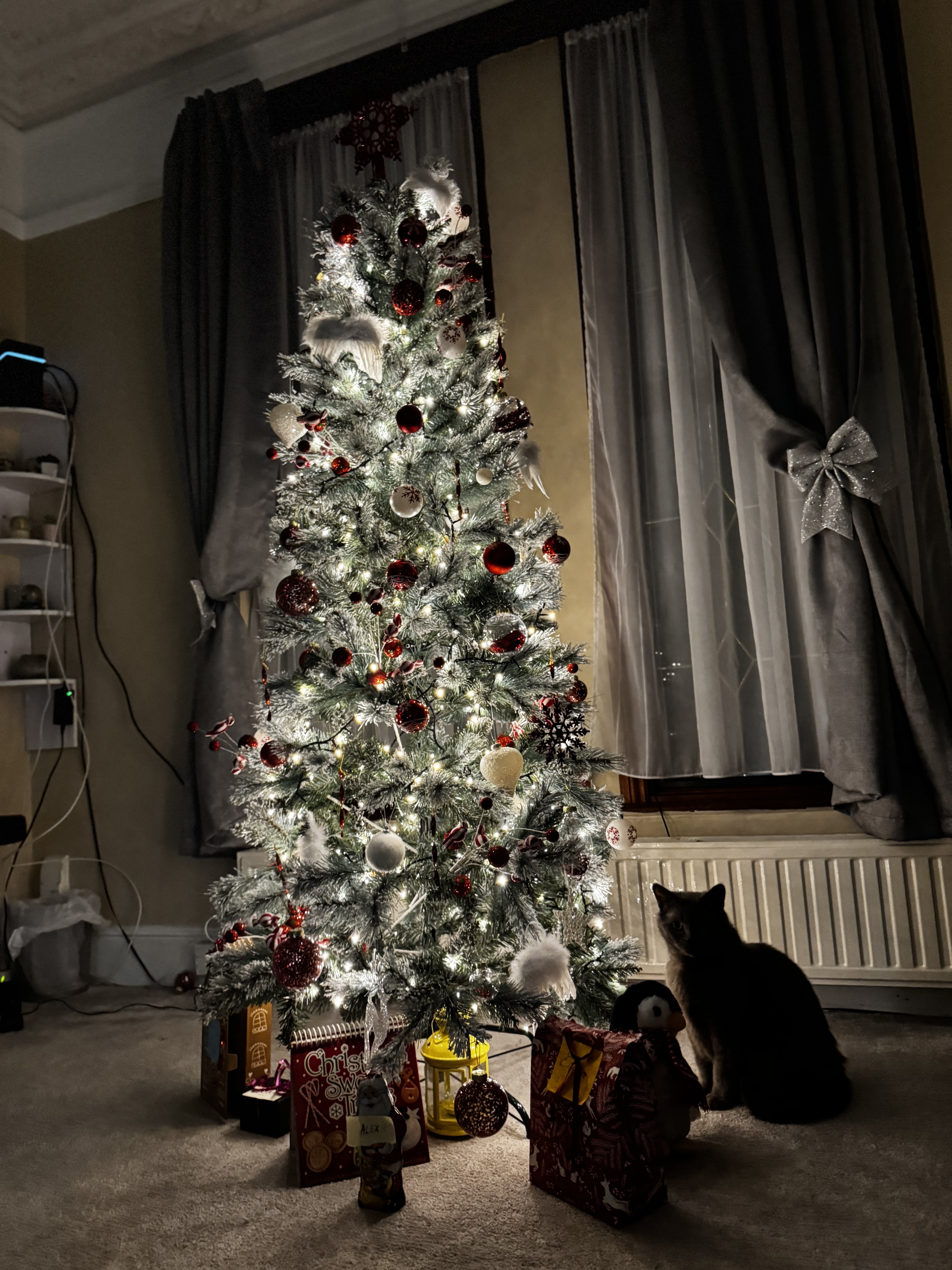 image-13