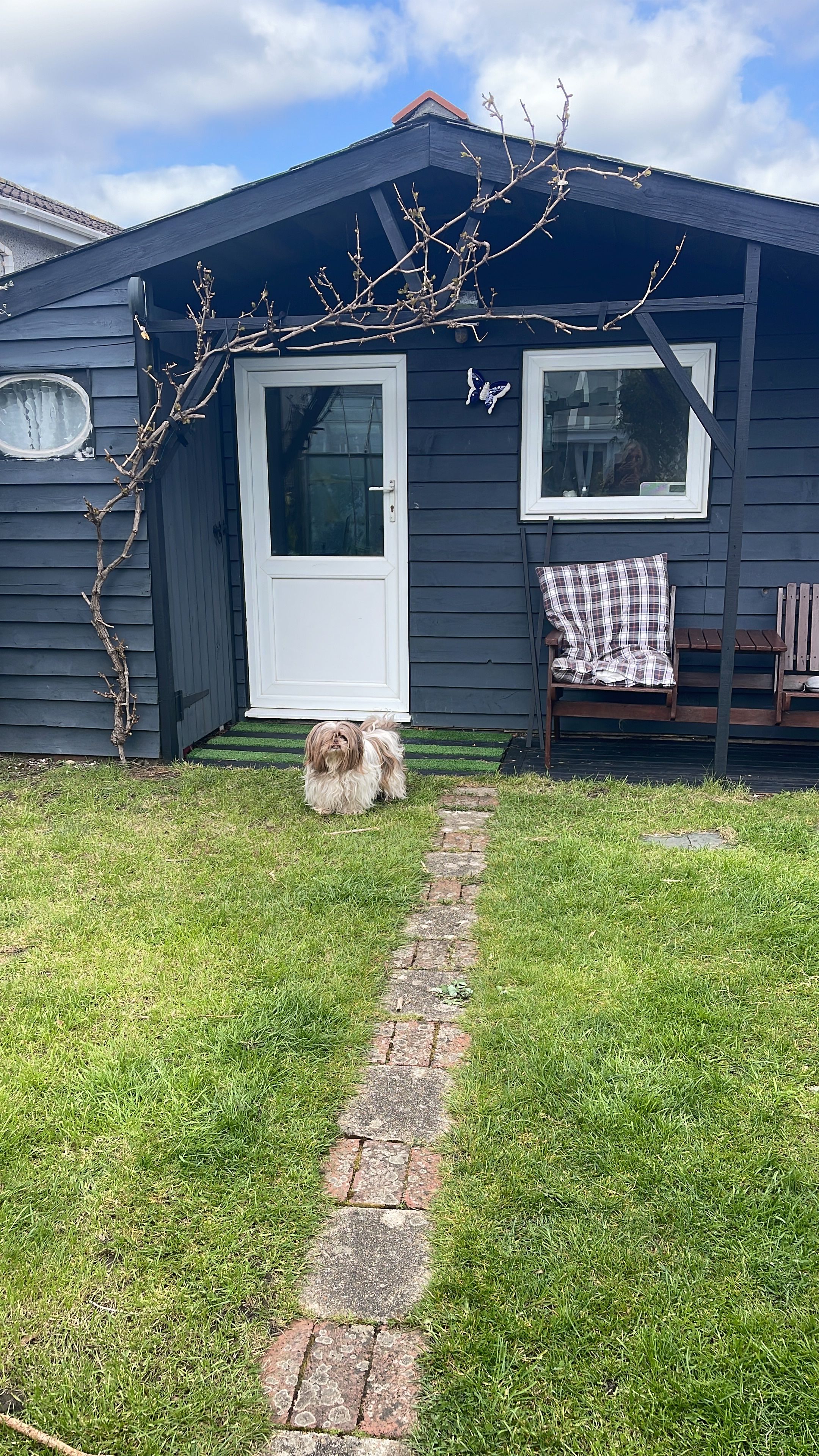 image-15