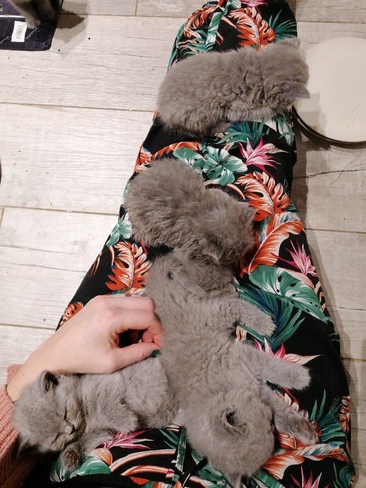 image-4