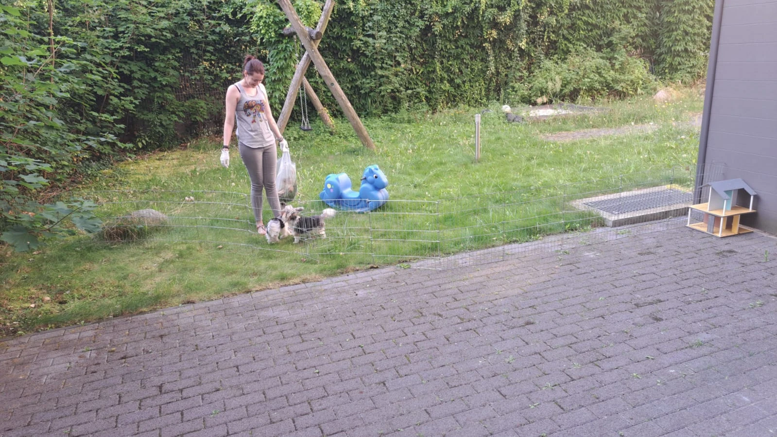 image-31