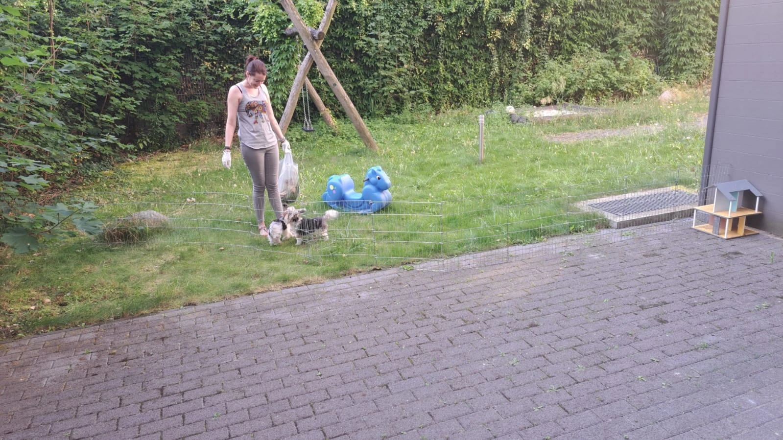 image-31