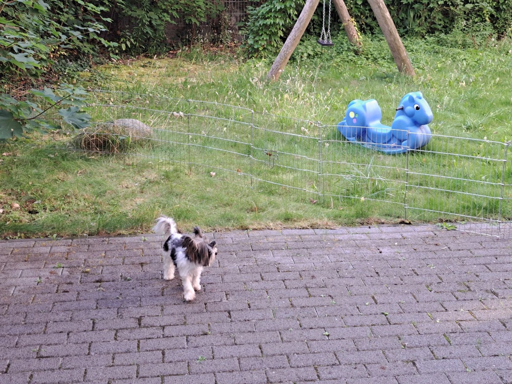 image-29