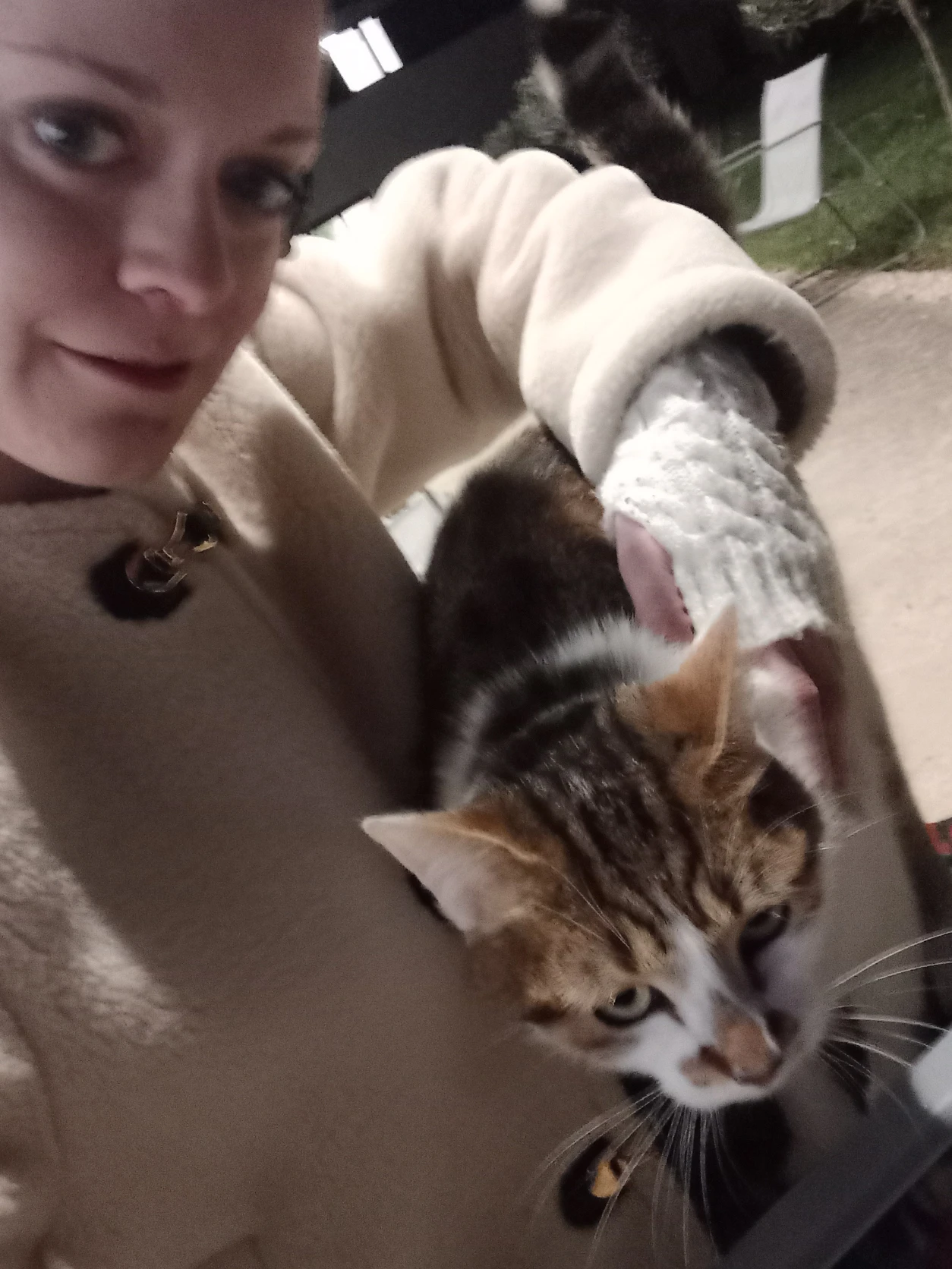 image-6
