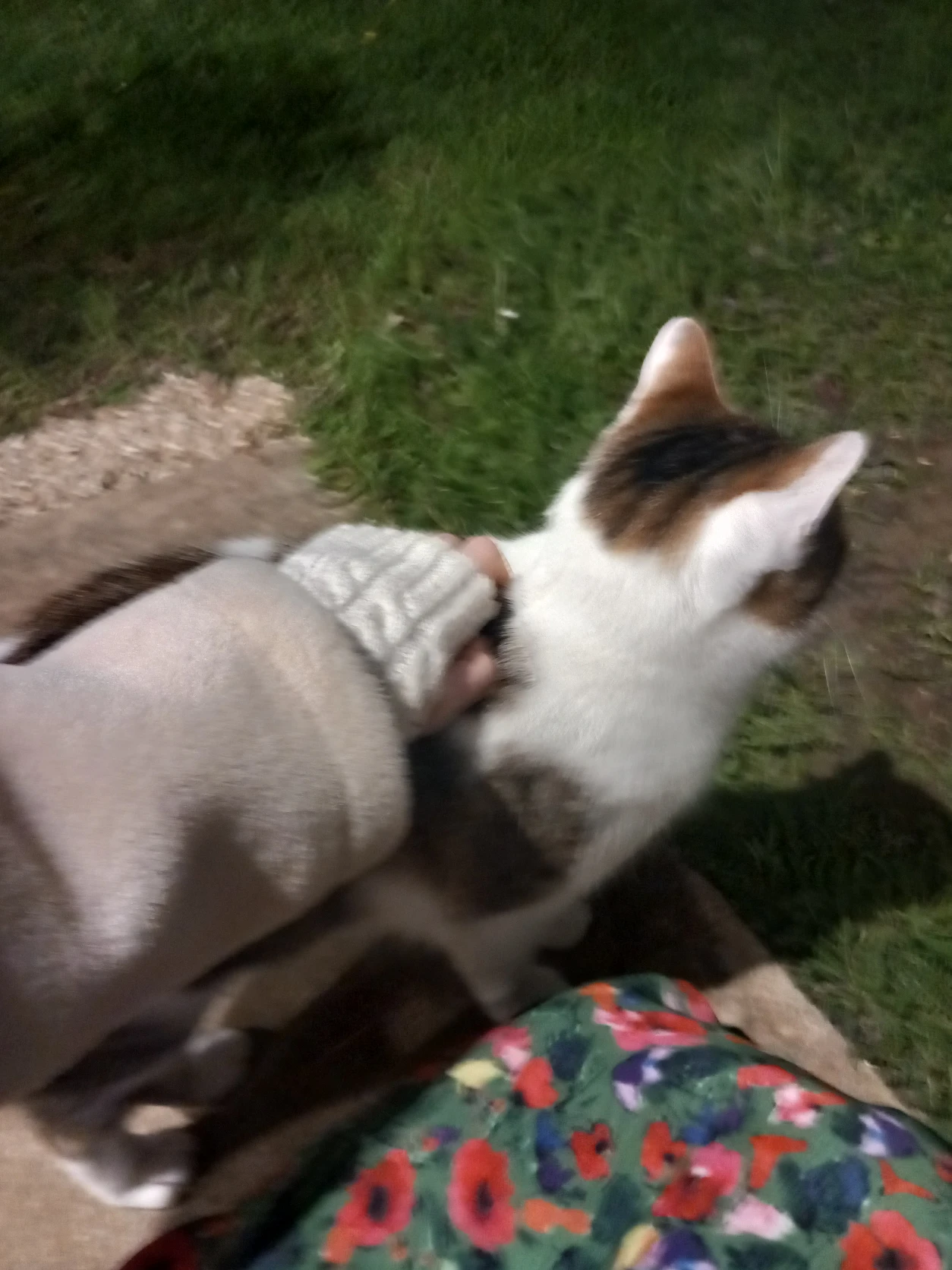 image-4