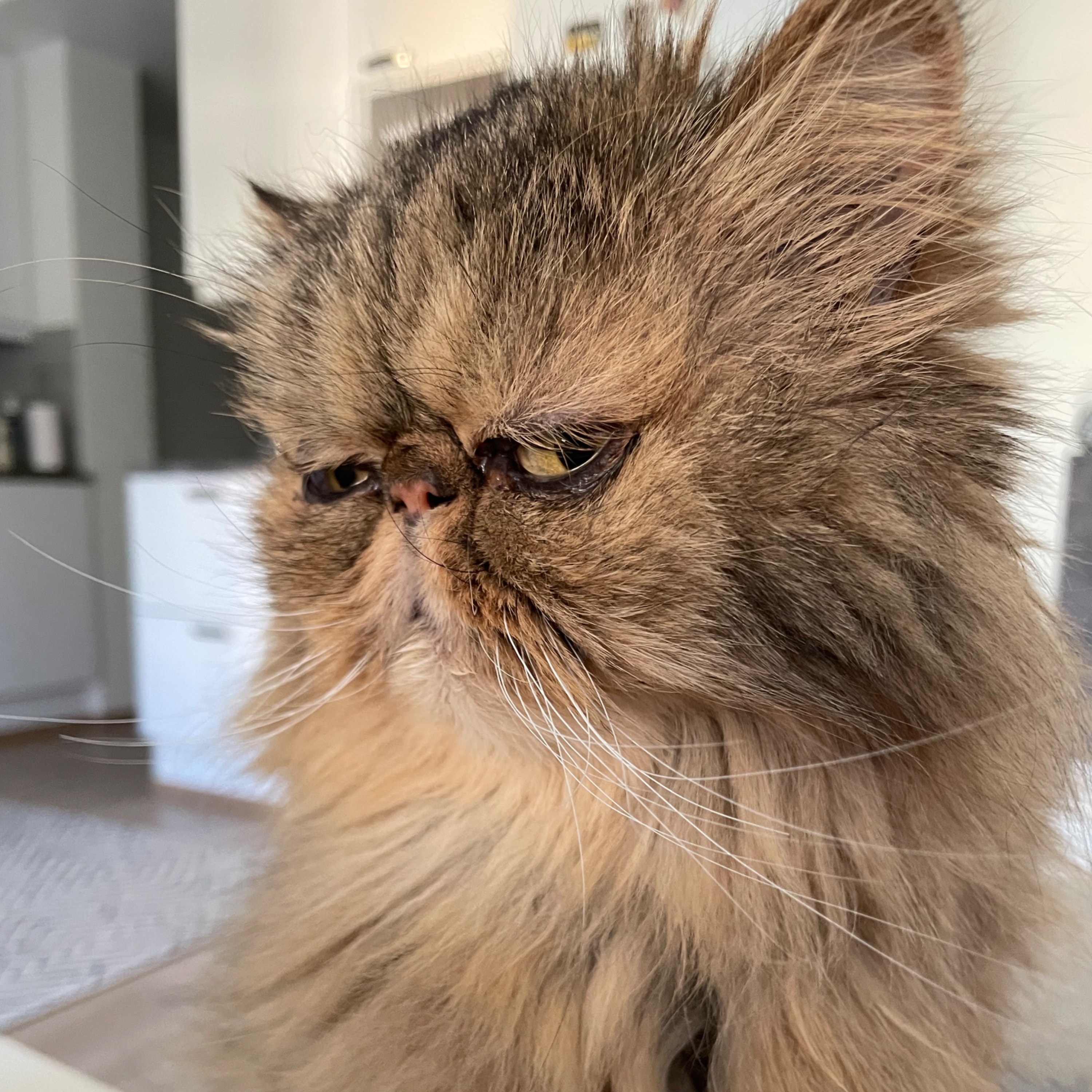 Oliver