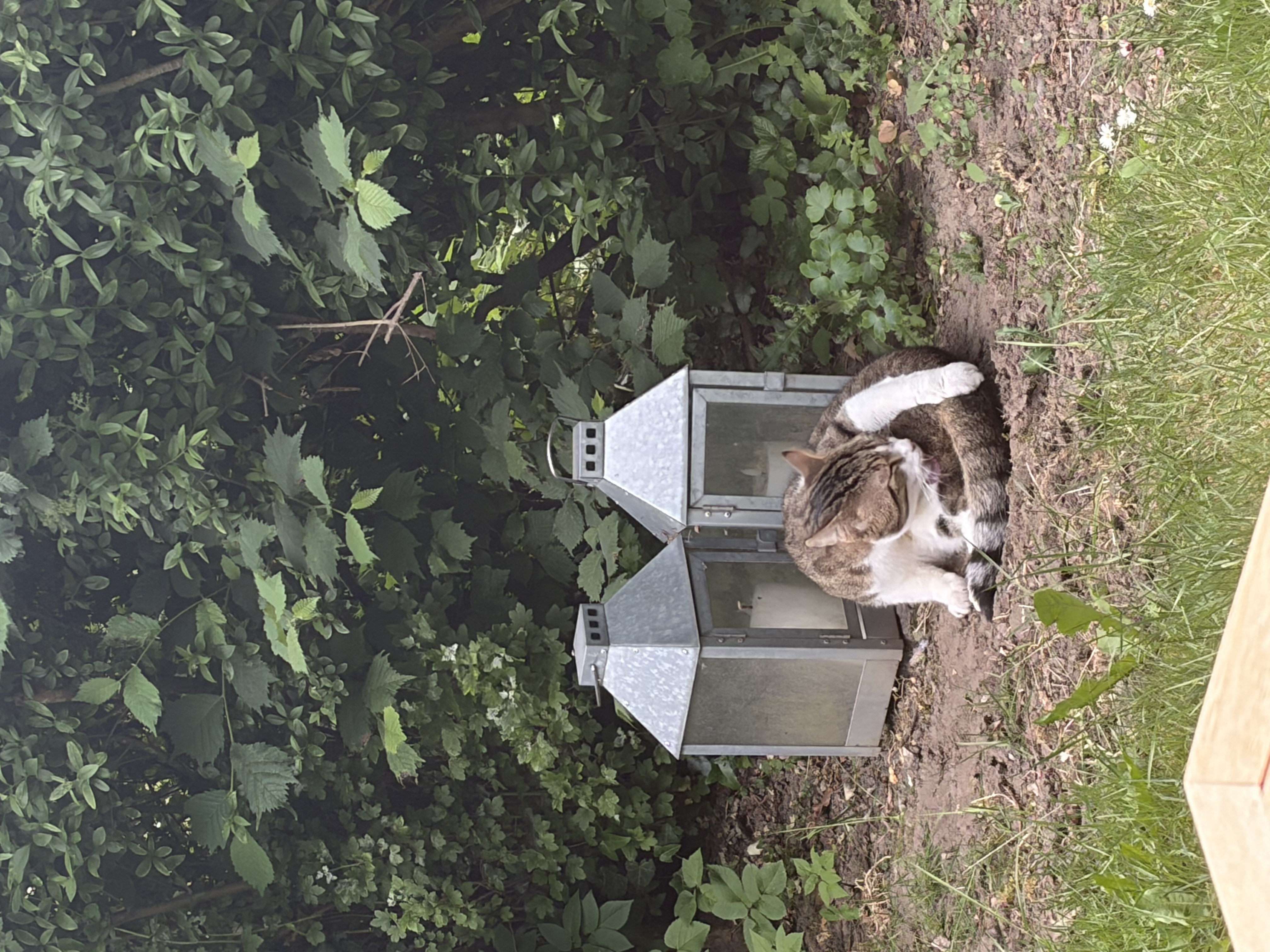 image-15