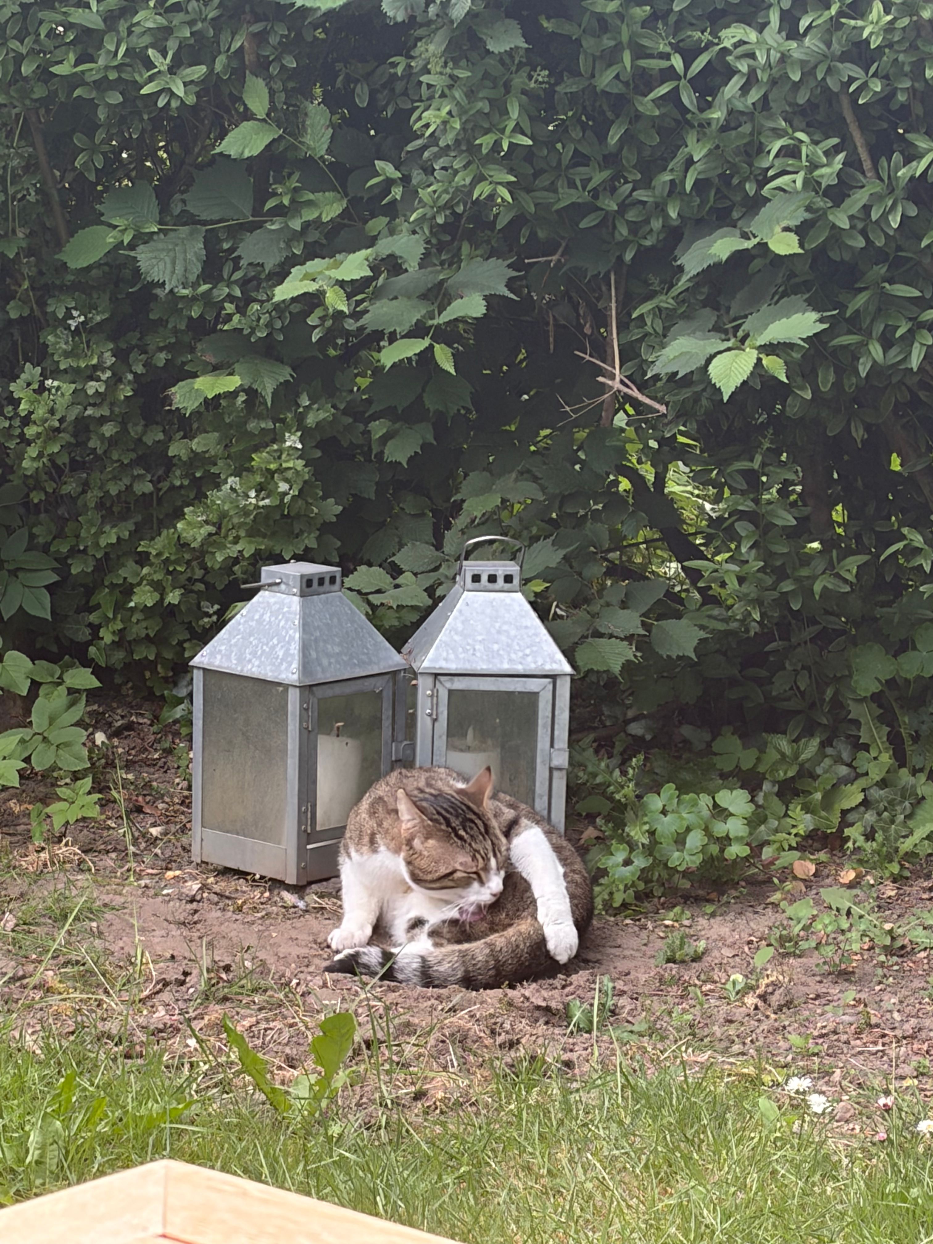 image-15