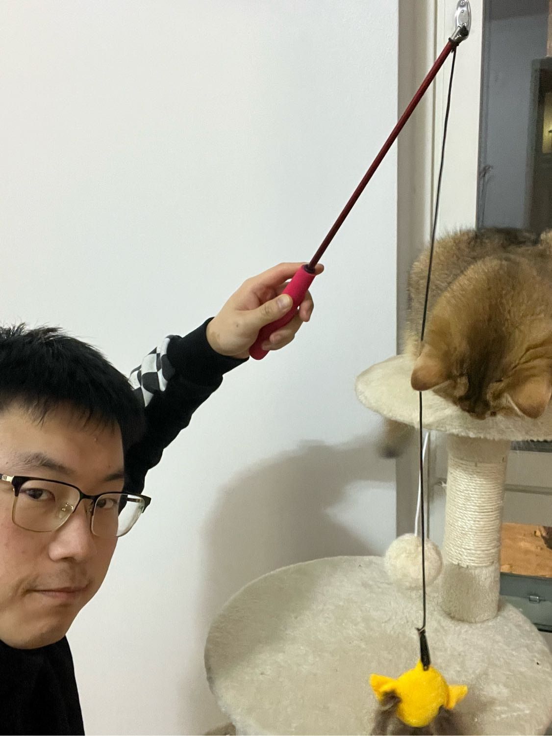 image-8