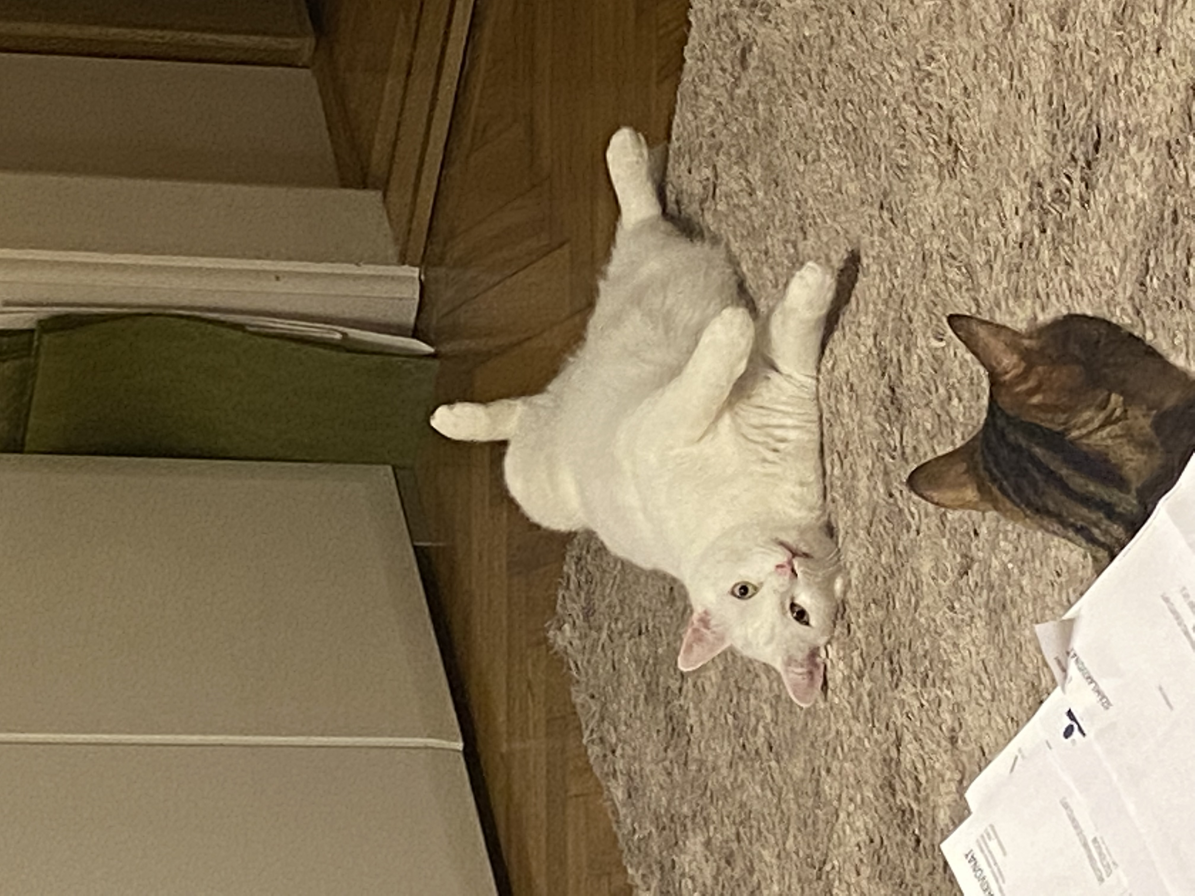 image-9