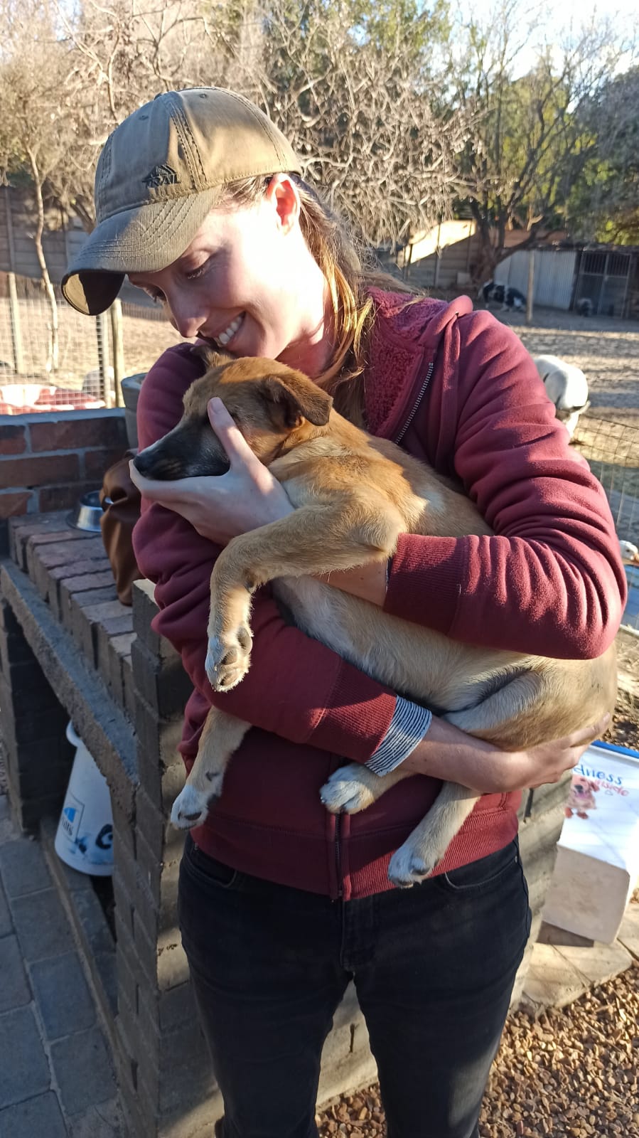 image-6
