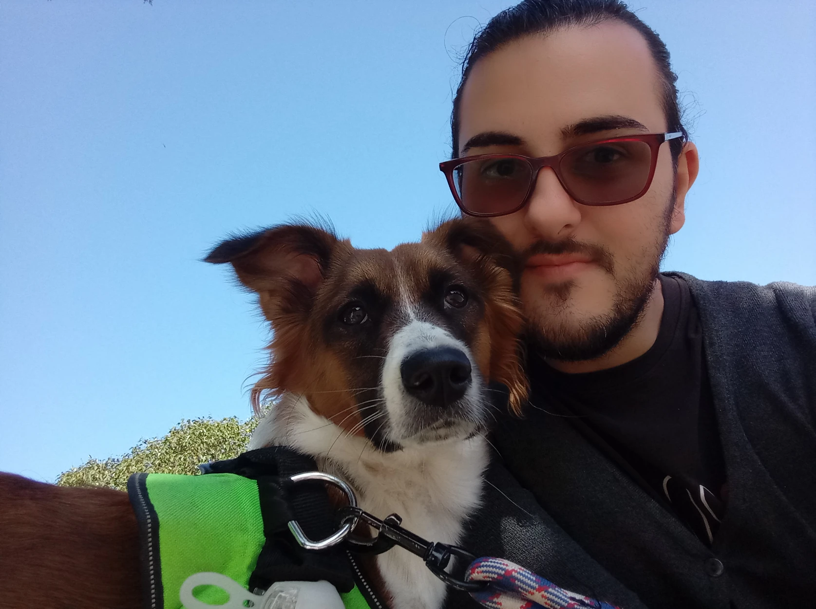 image-7