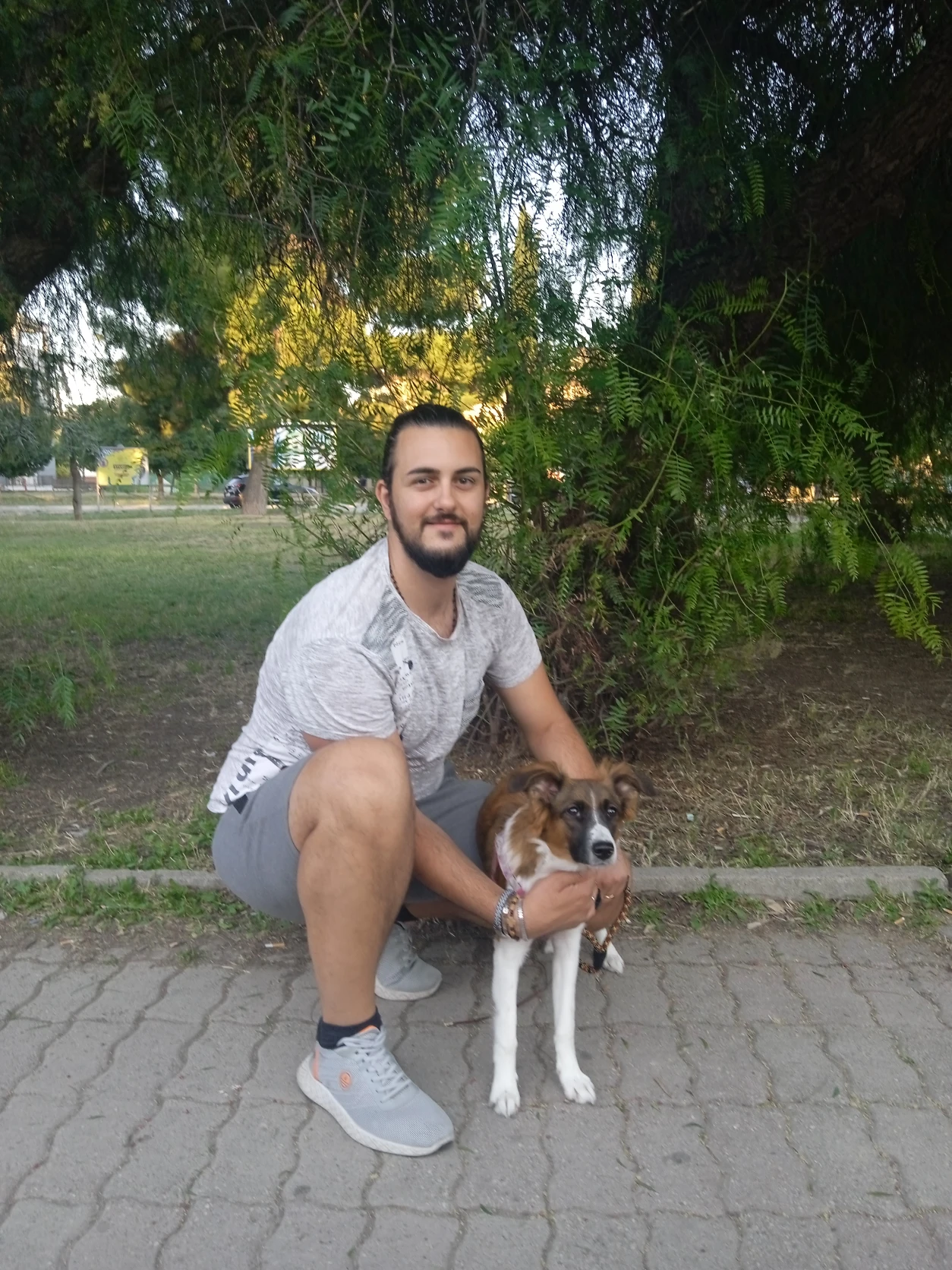 image-9