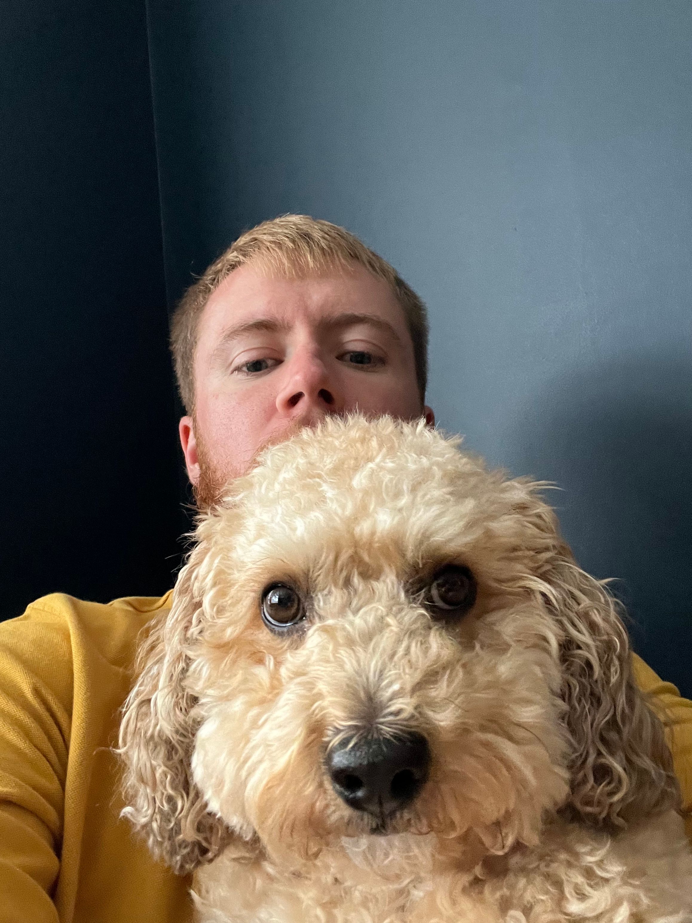 image-6