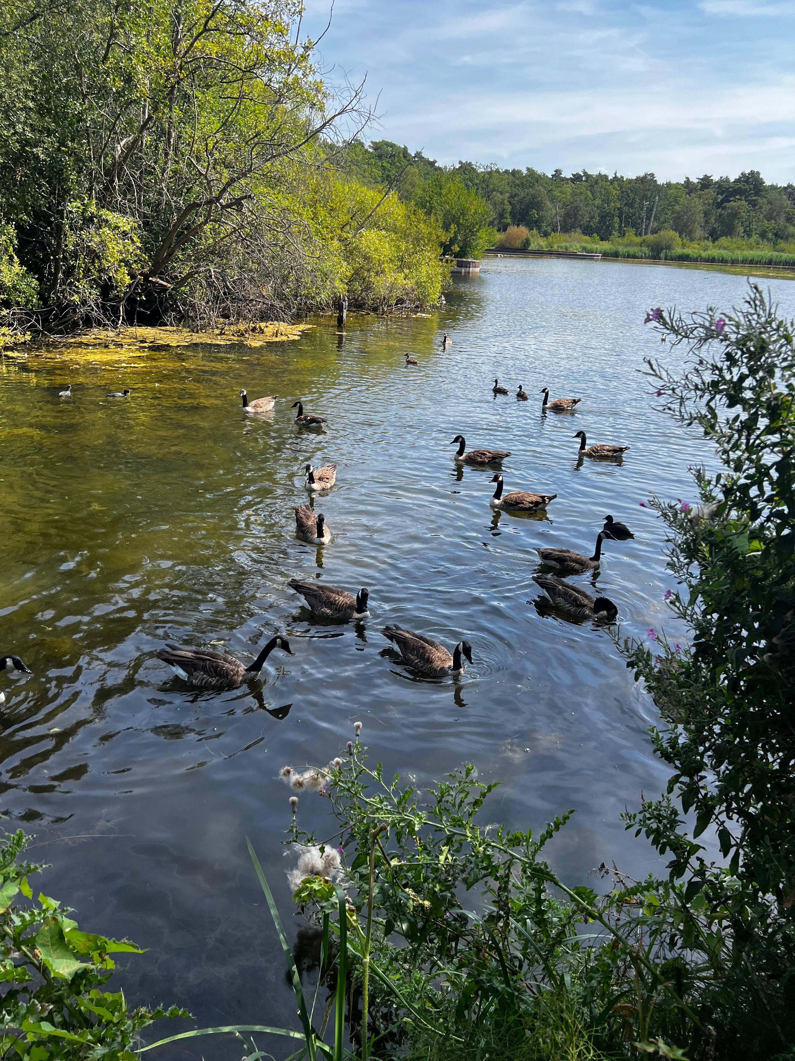 image-15