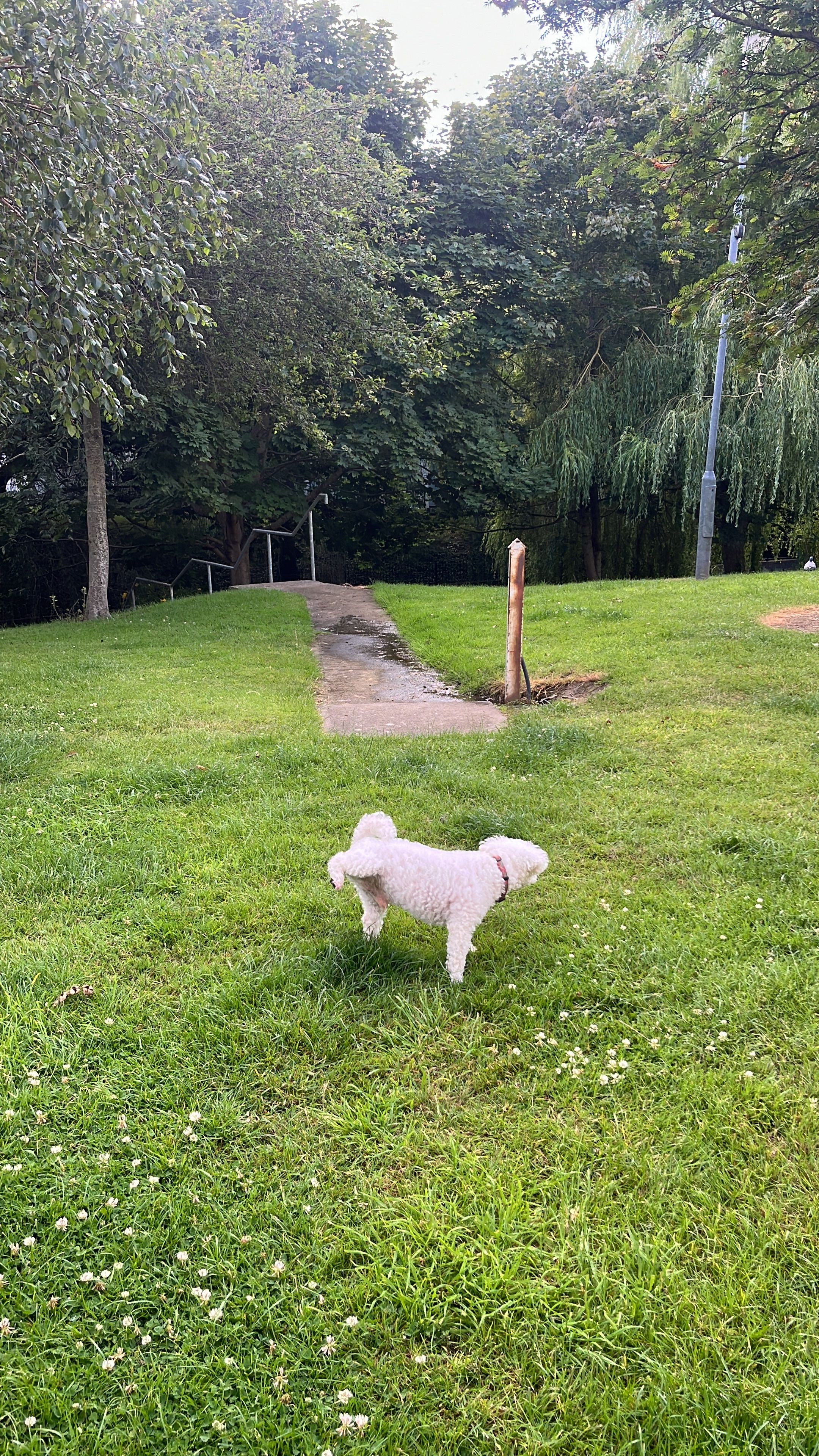 image-12