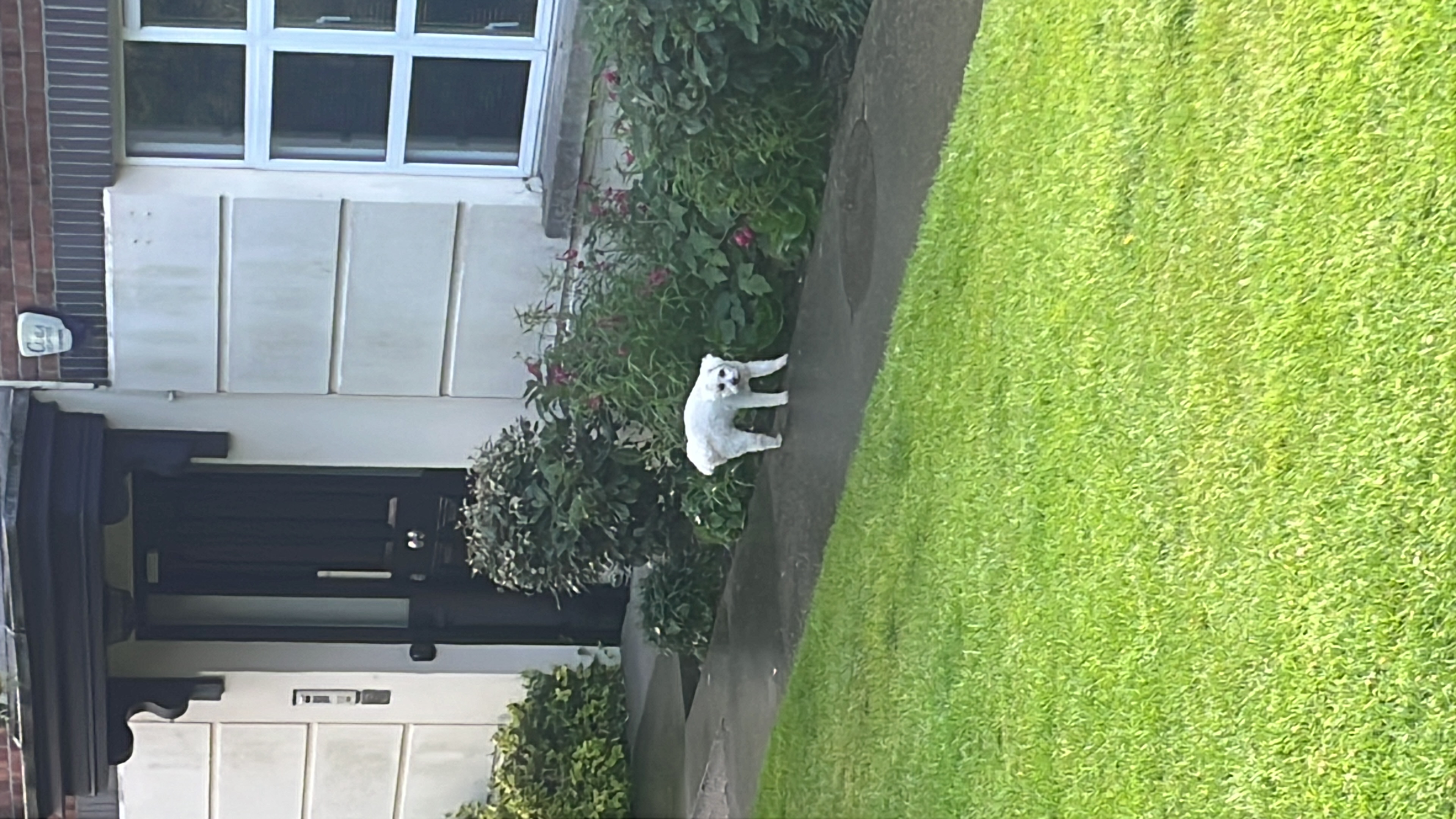 image-13