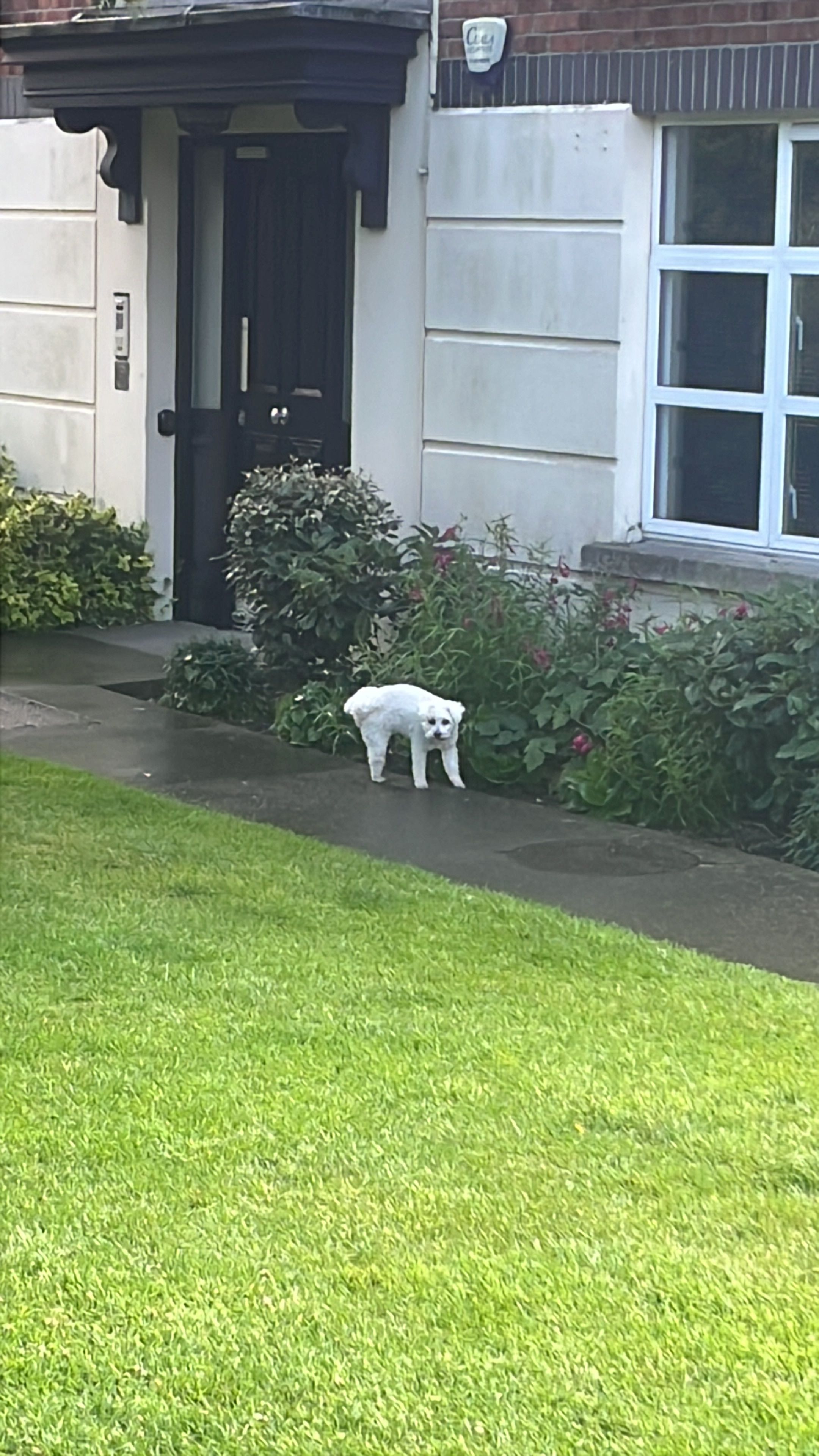image-13