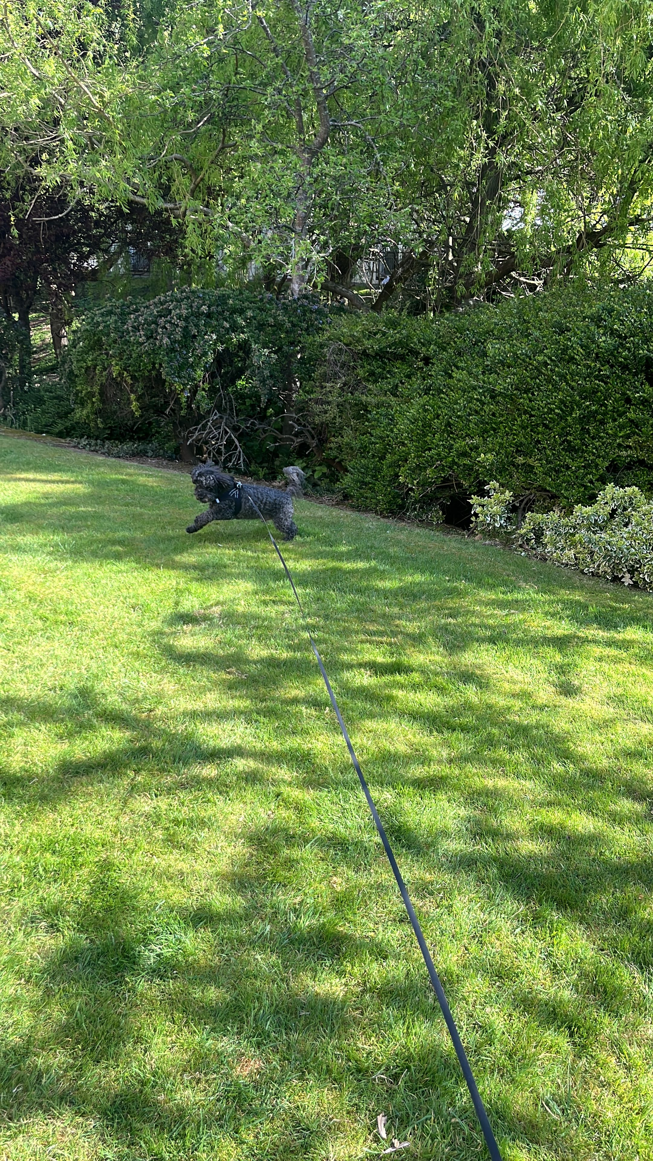 image-8