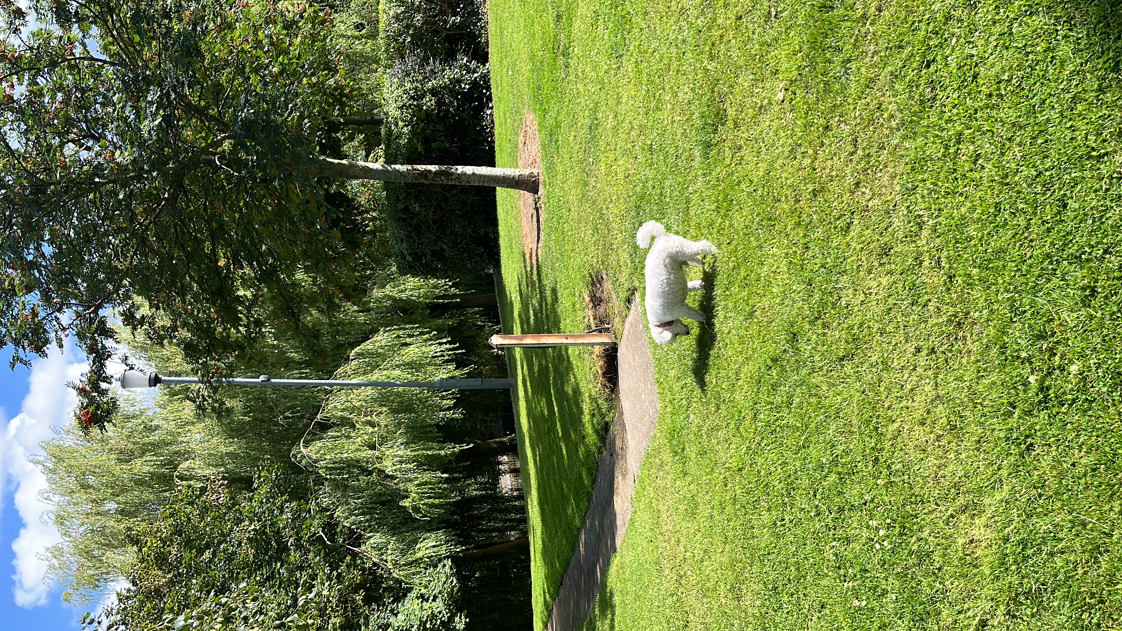 image-7