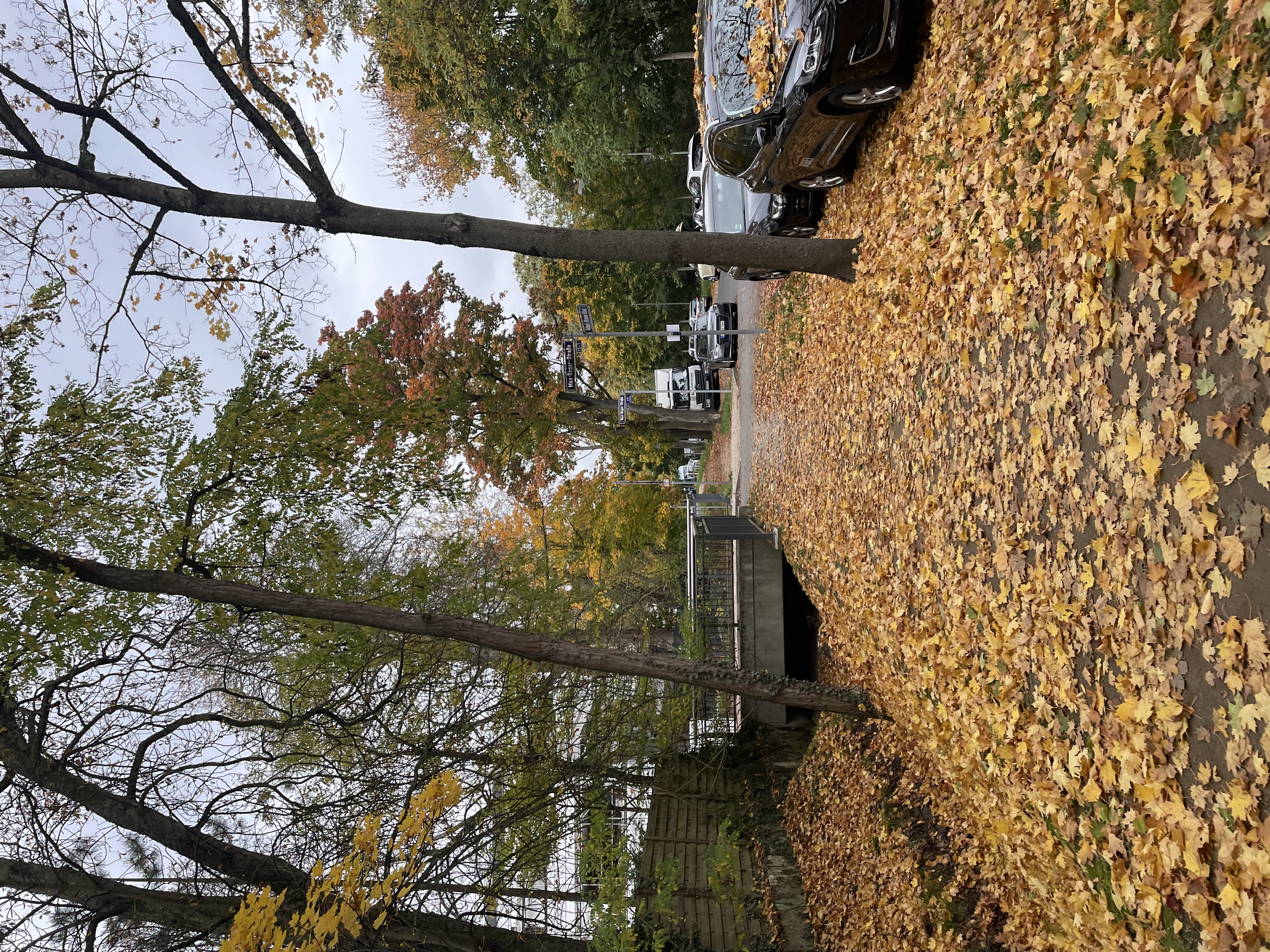 image-14