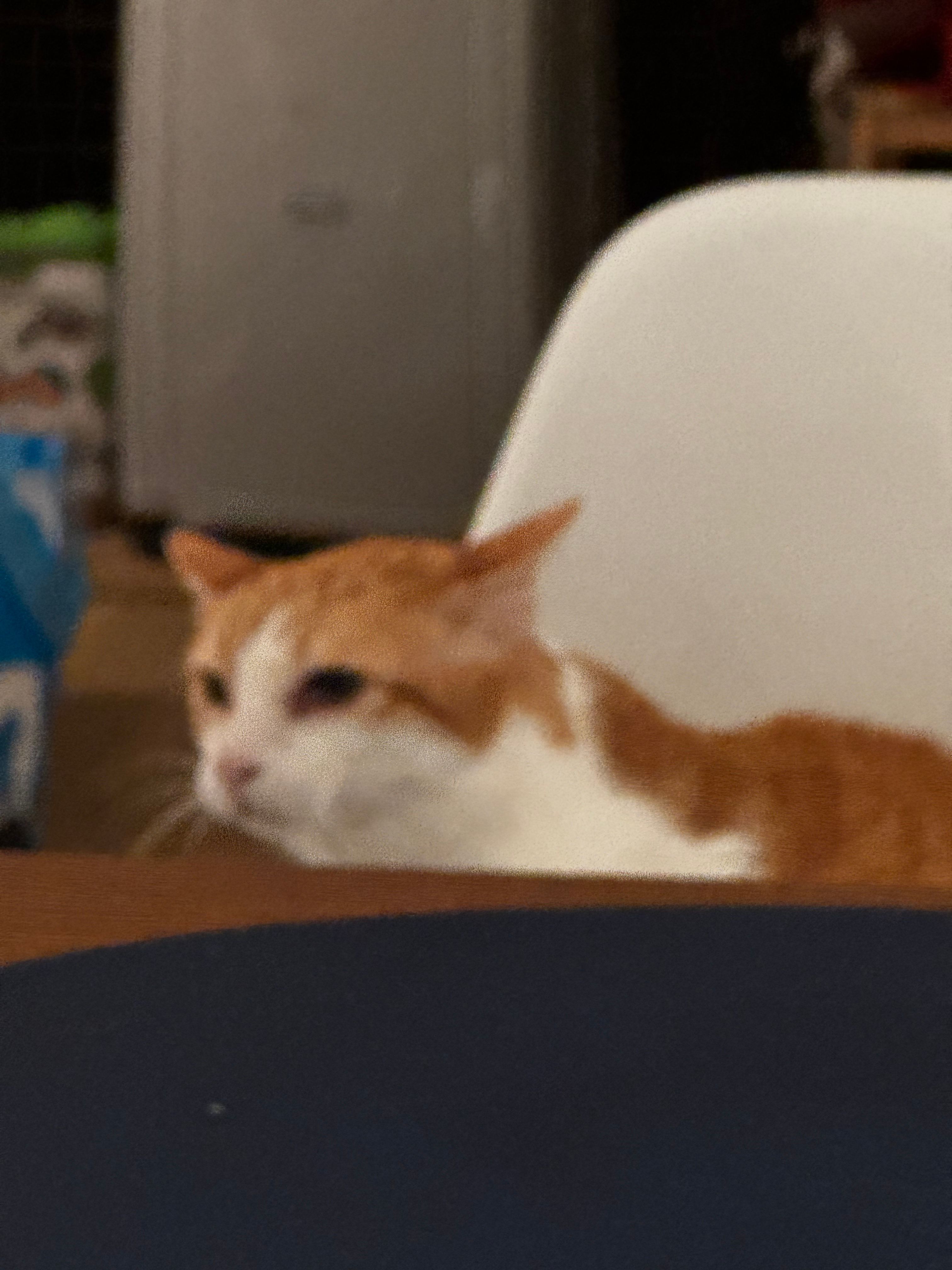 image-10