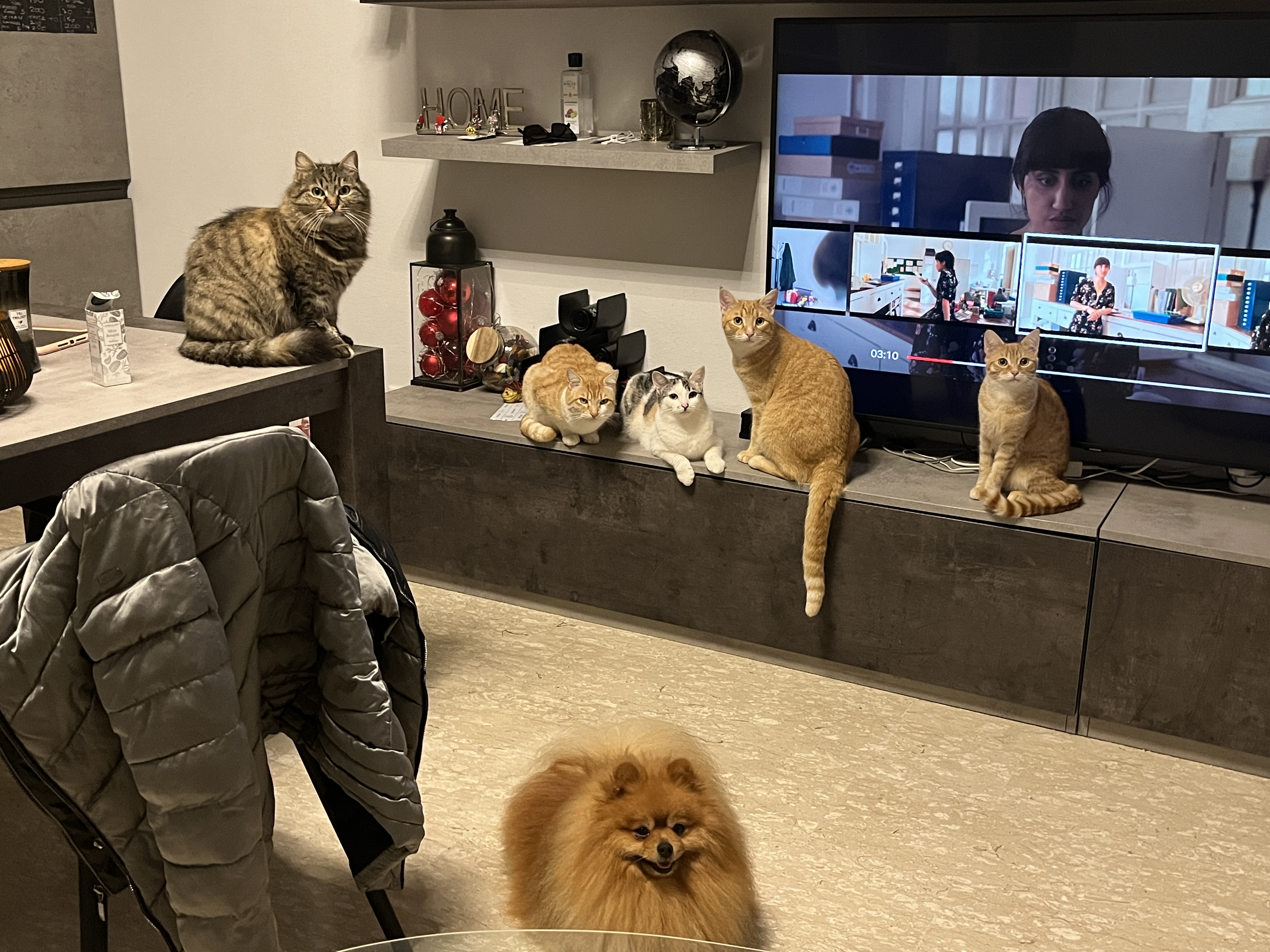 image-10