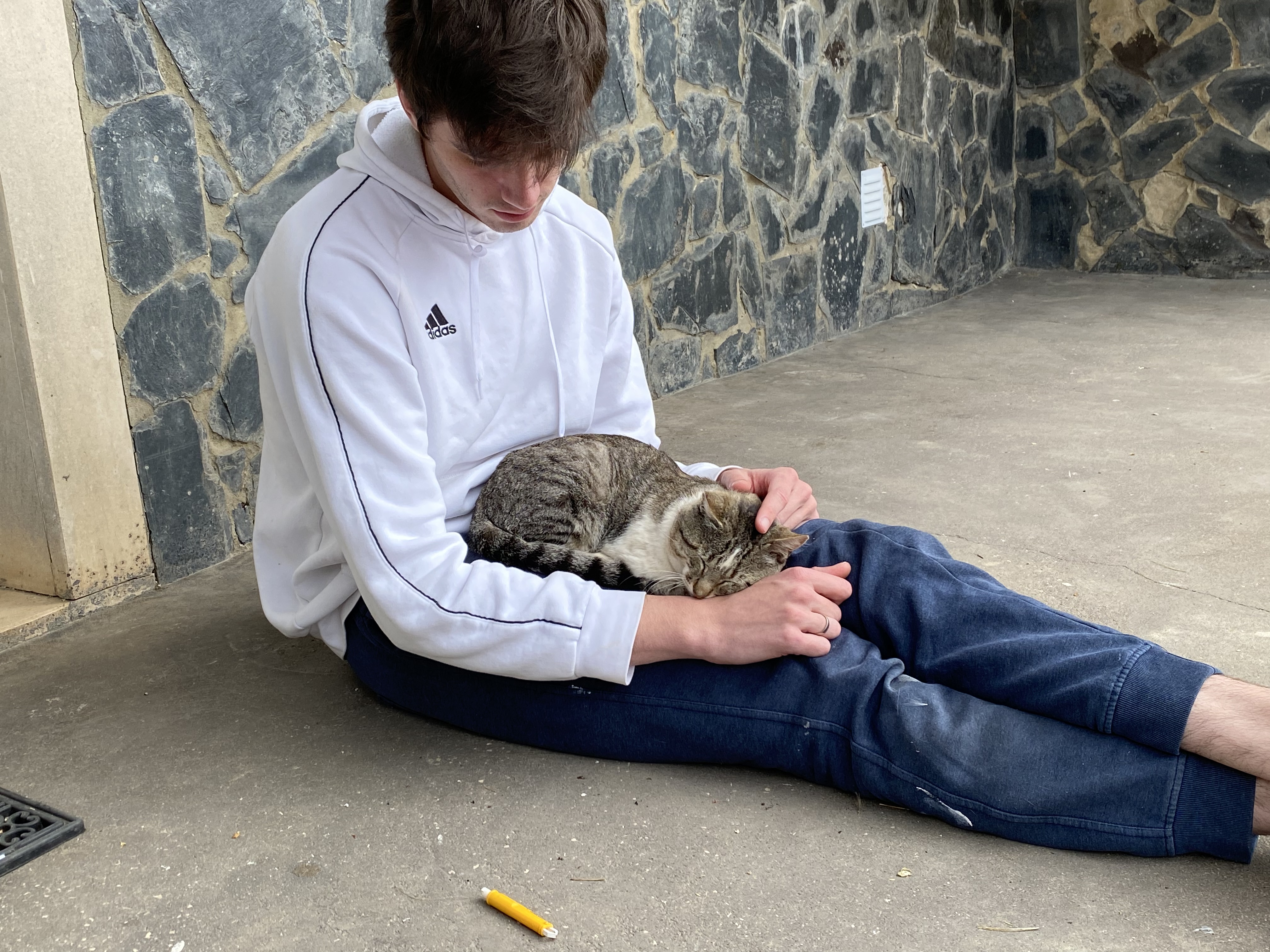 image-9