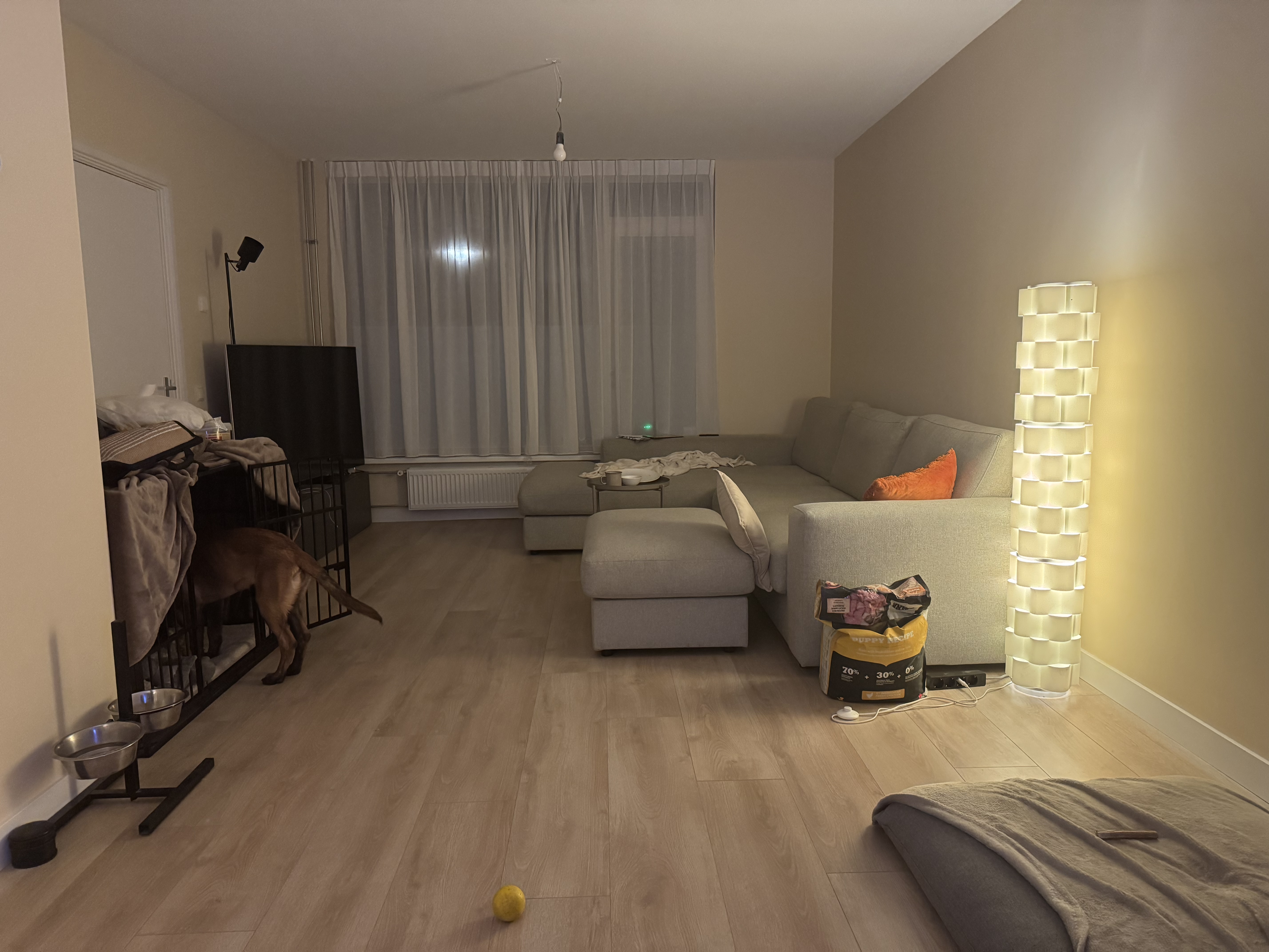 image-11