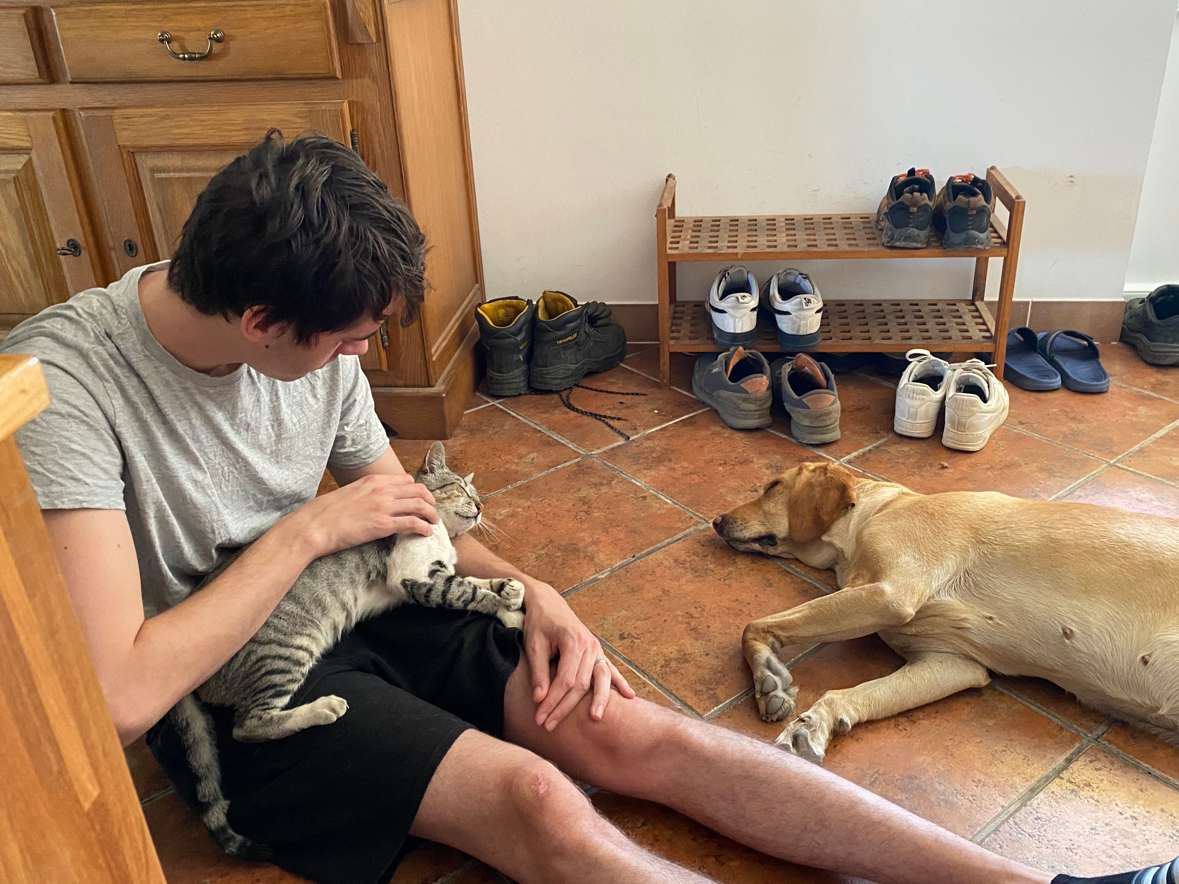 image-8