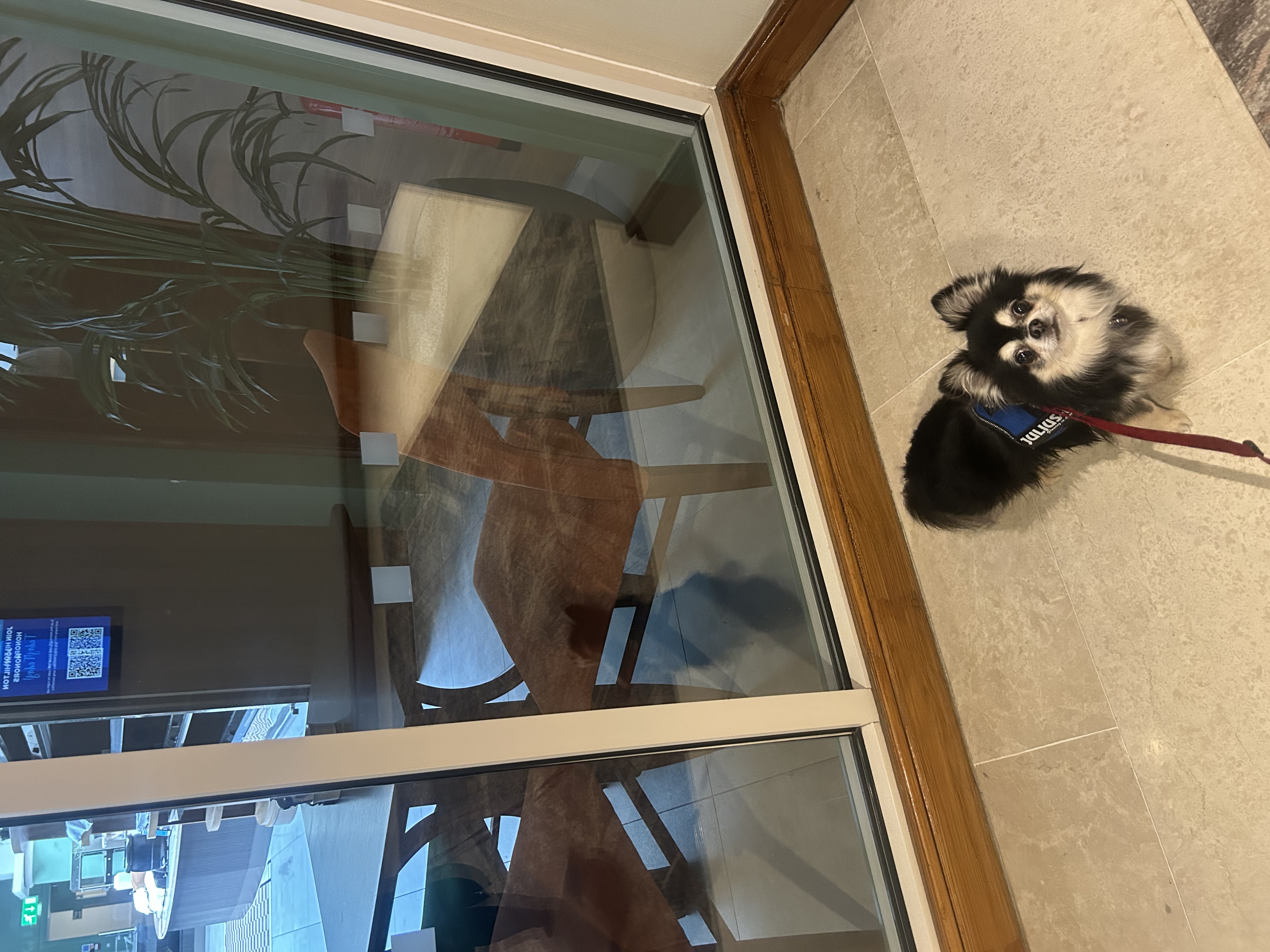 image-8