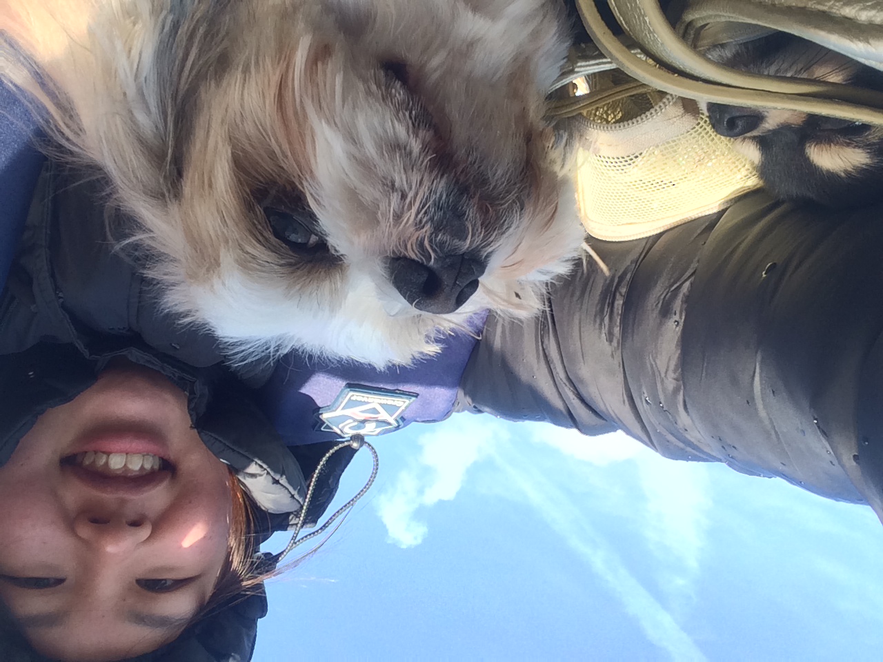 image-6