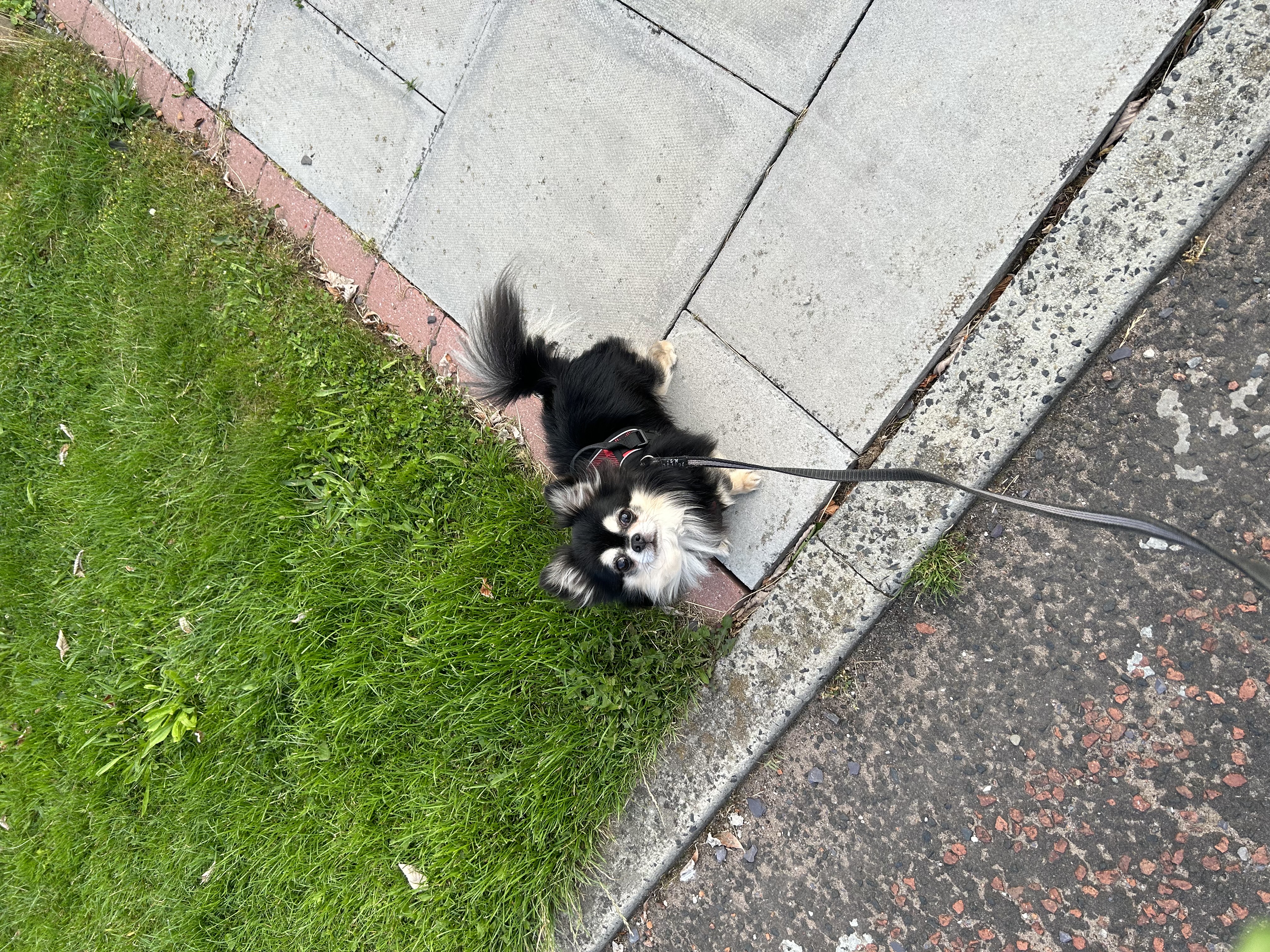 image-5