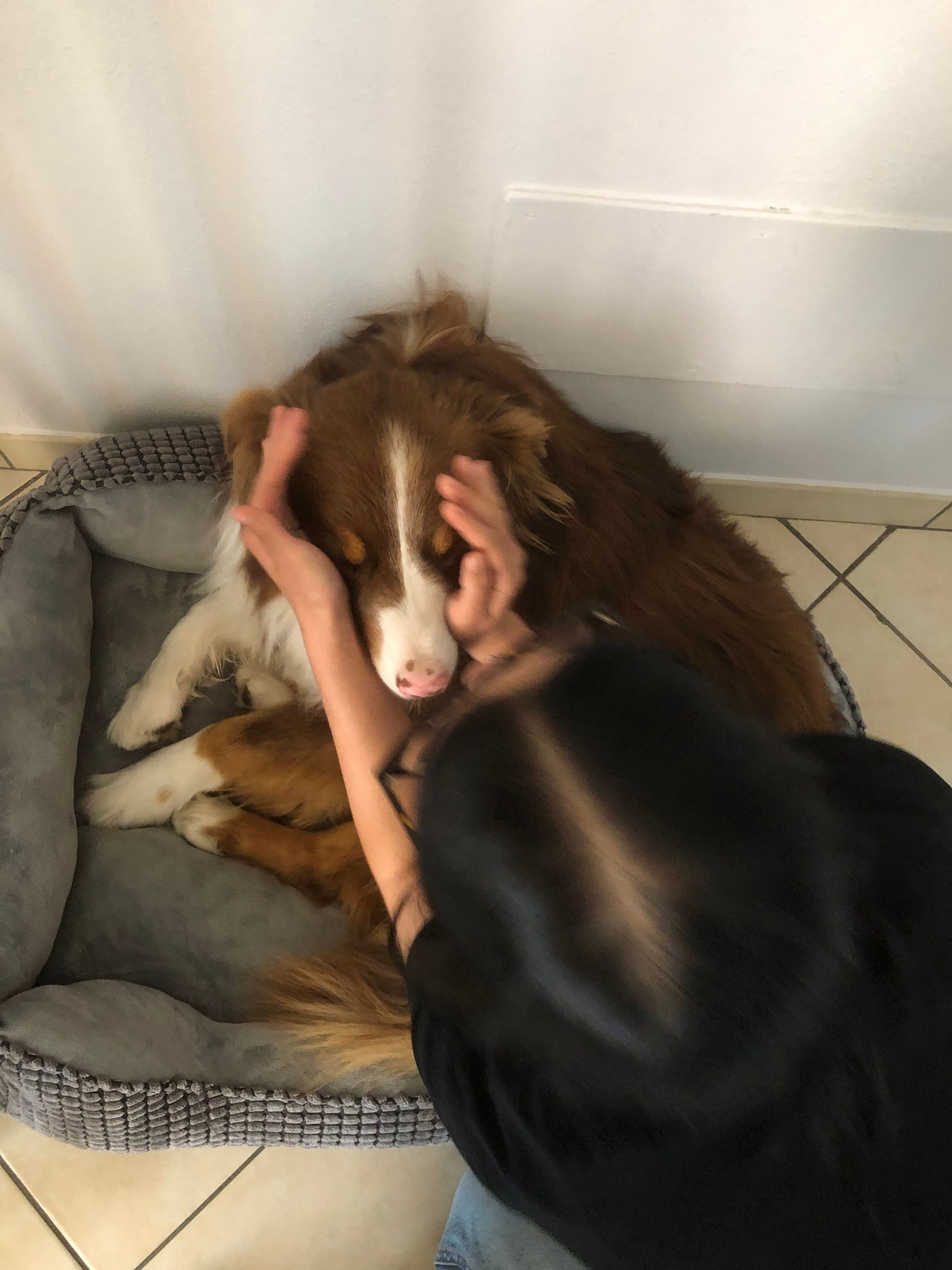 image-18