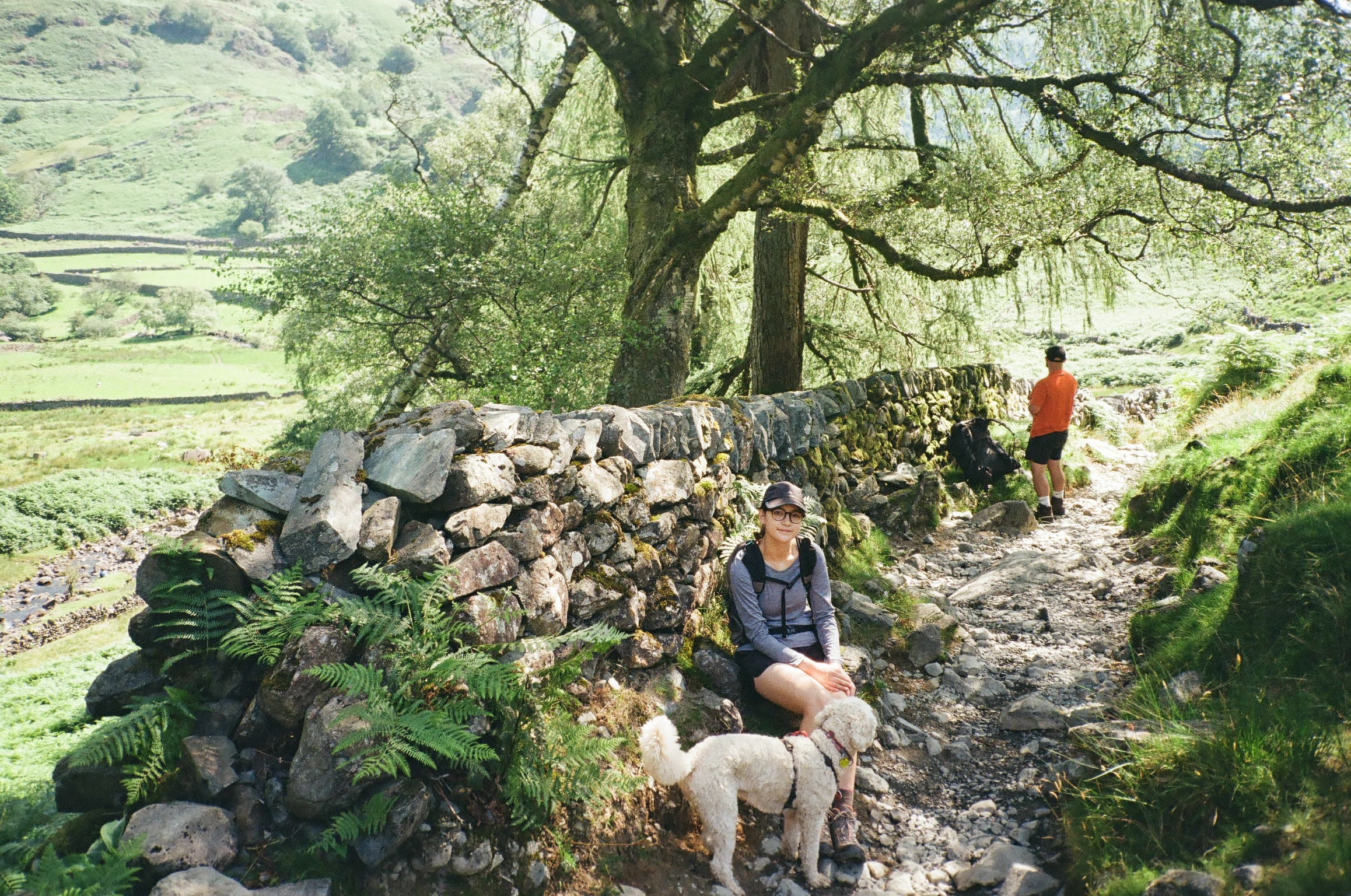image-6