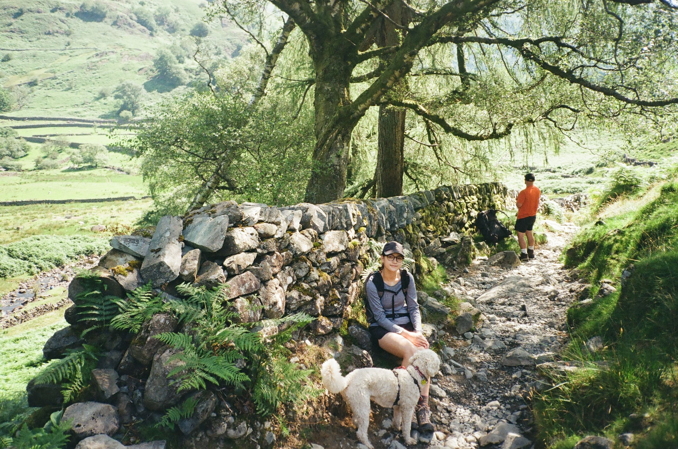 image-6
