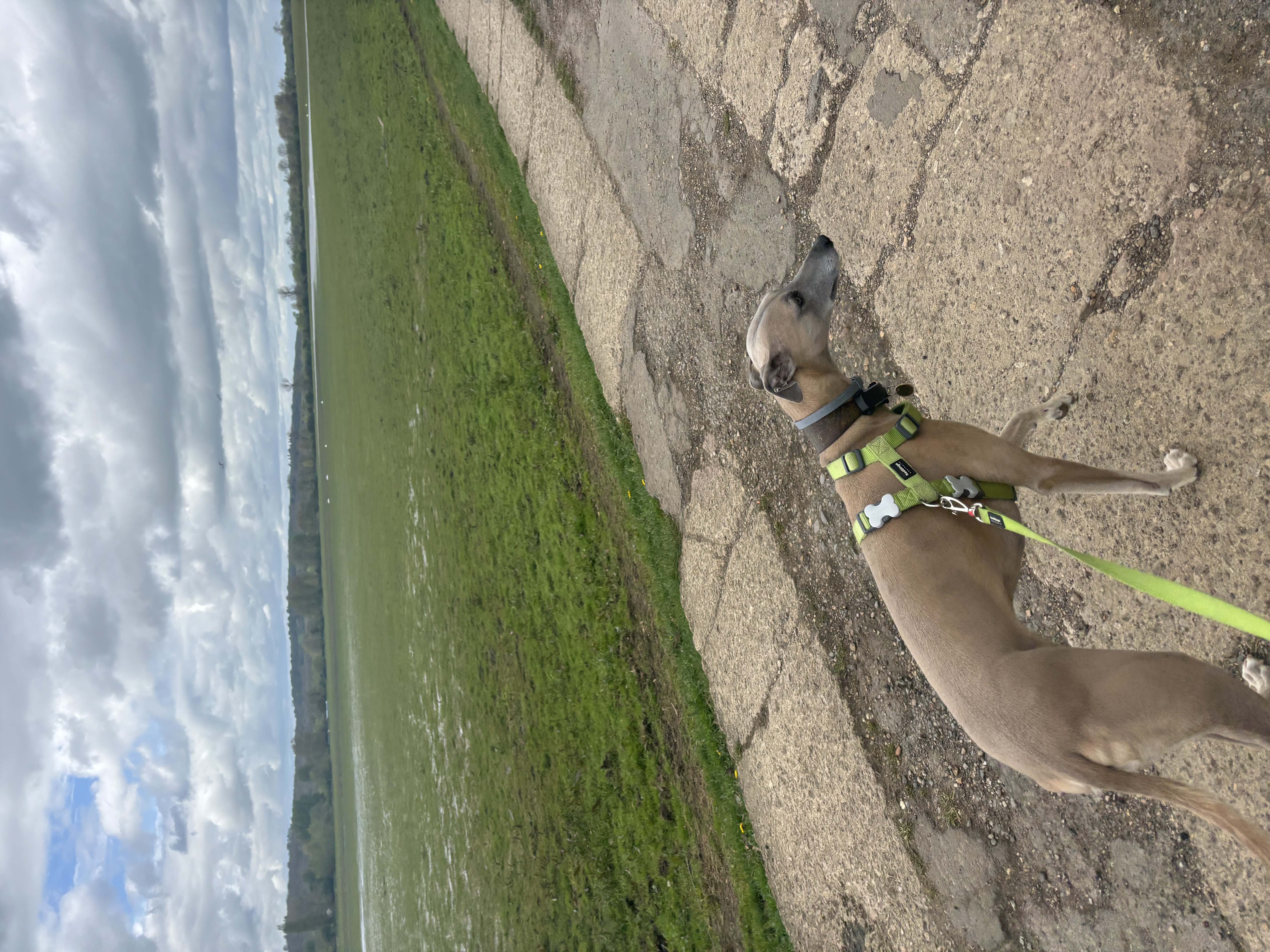 image-7