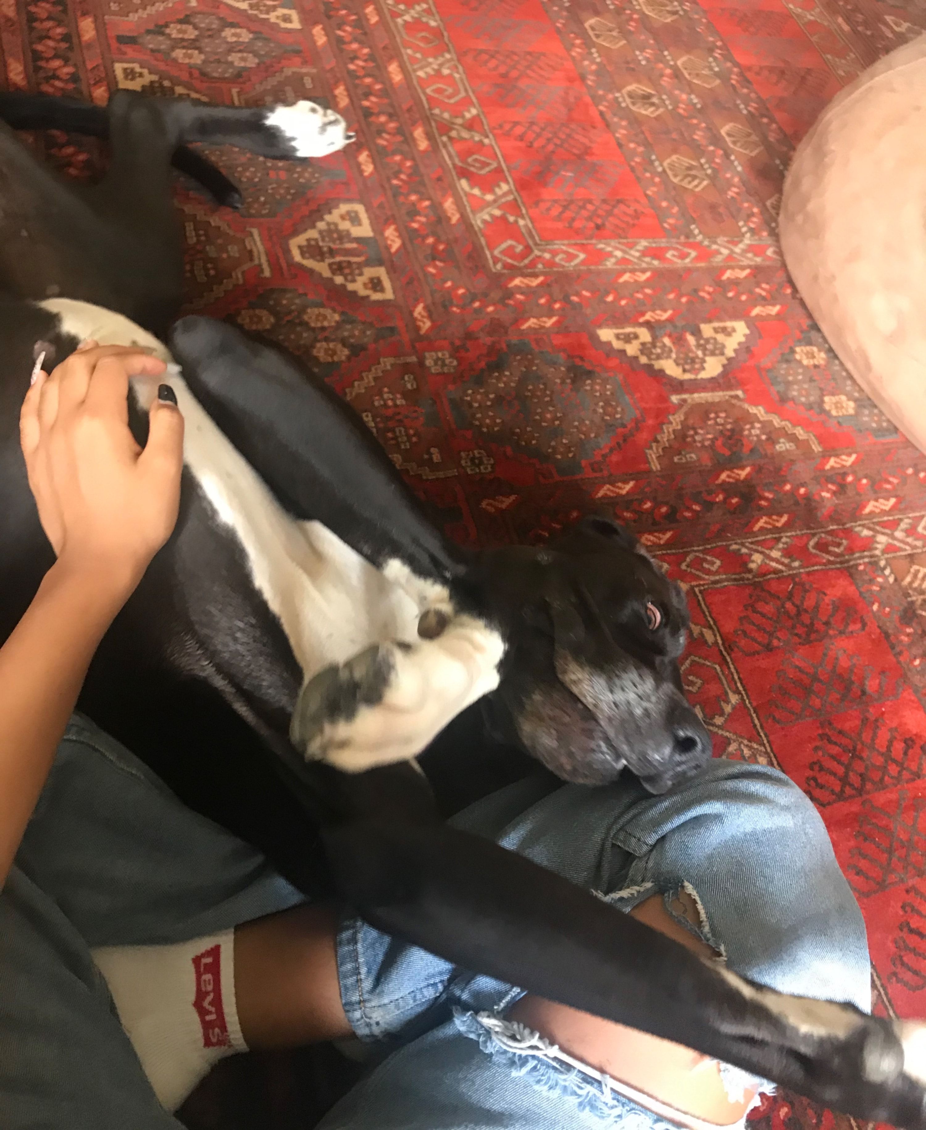 image-6
