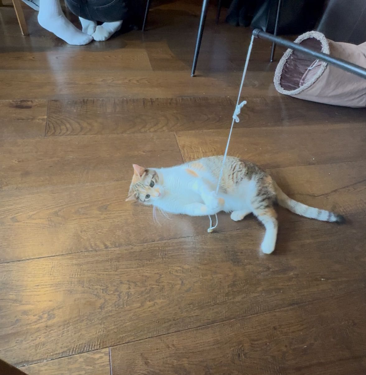 image-8