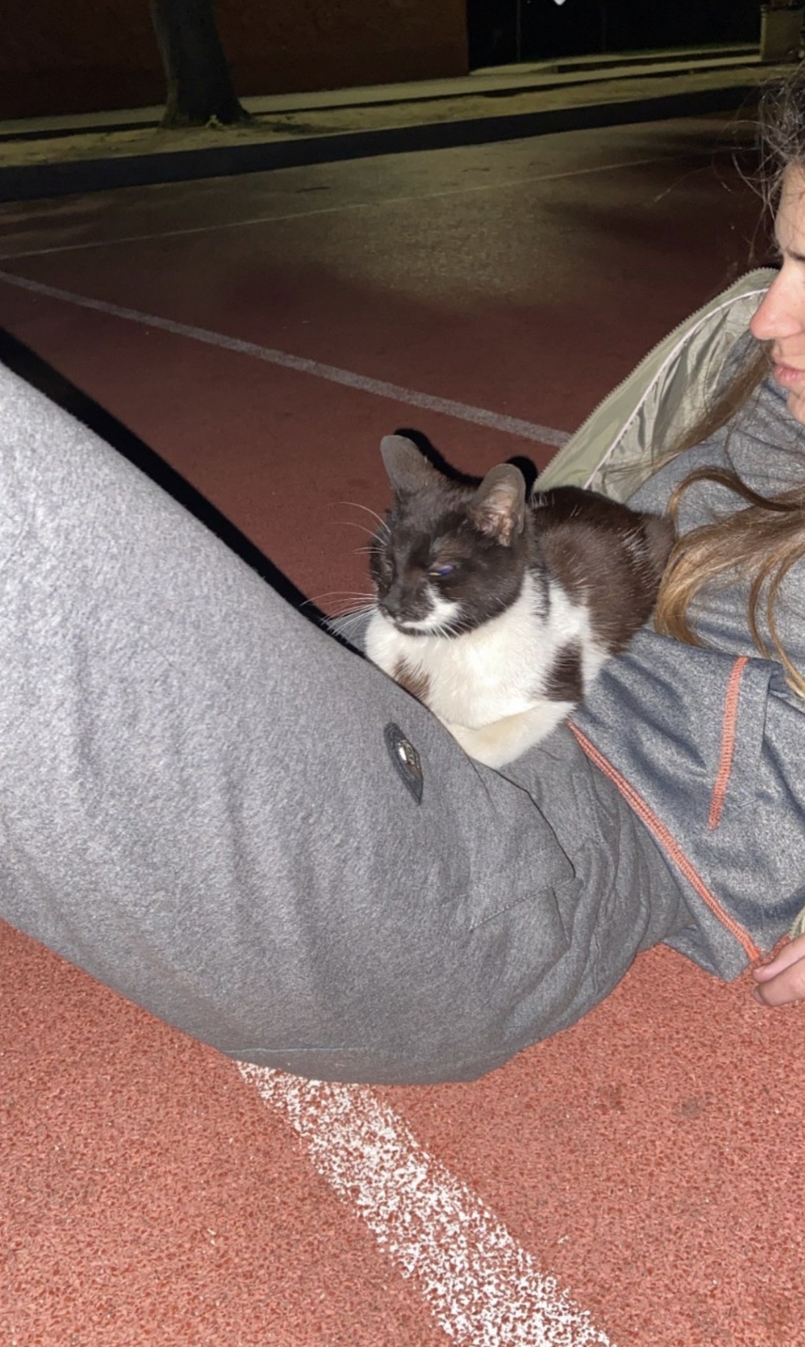 image-9