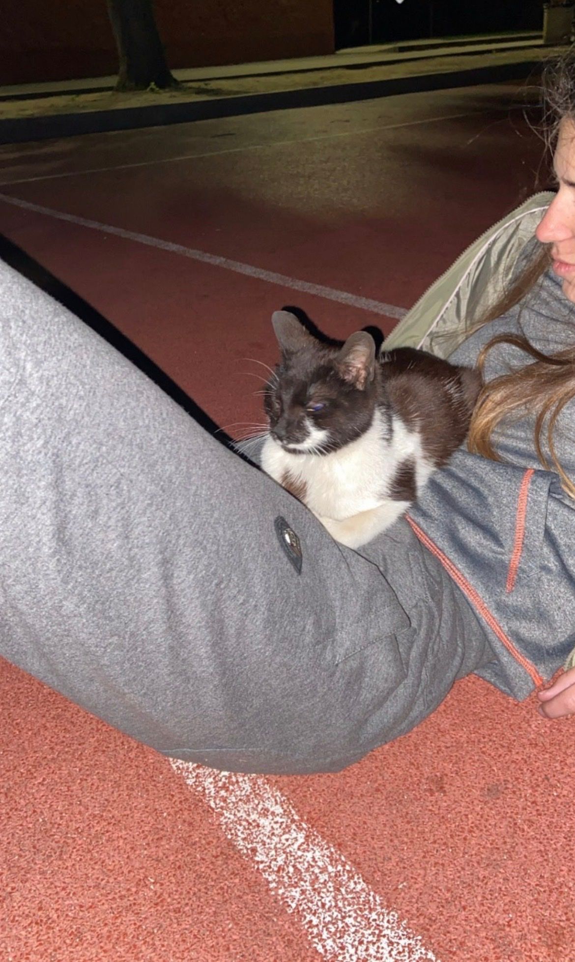 image-9