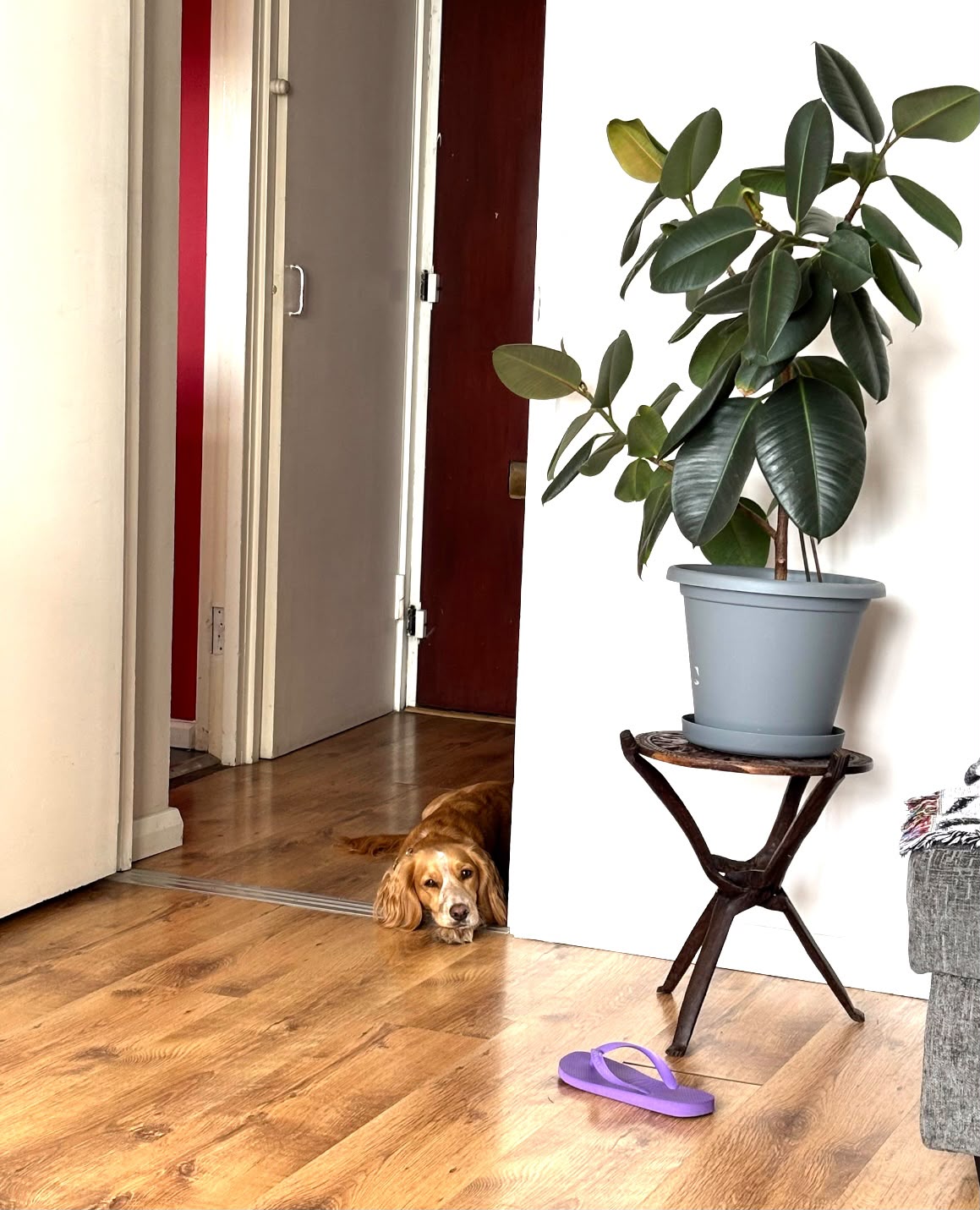 image-9
