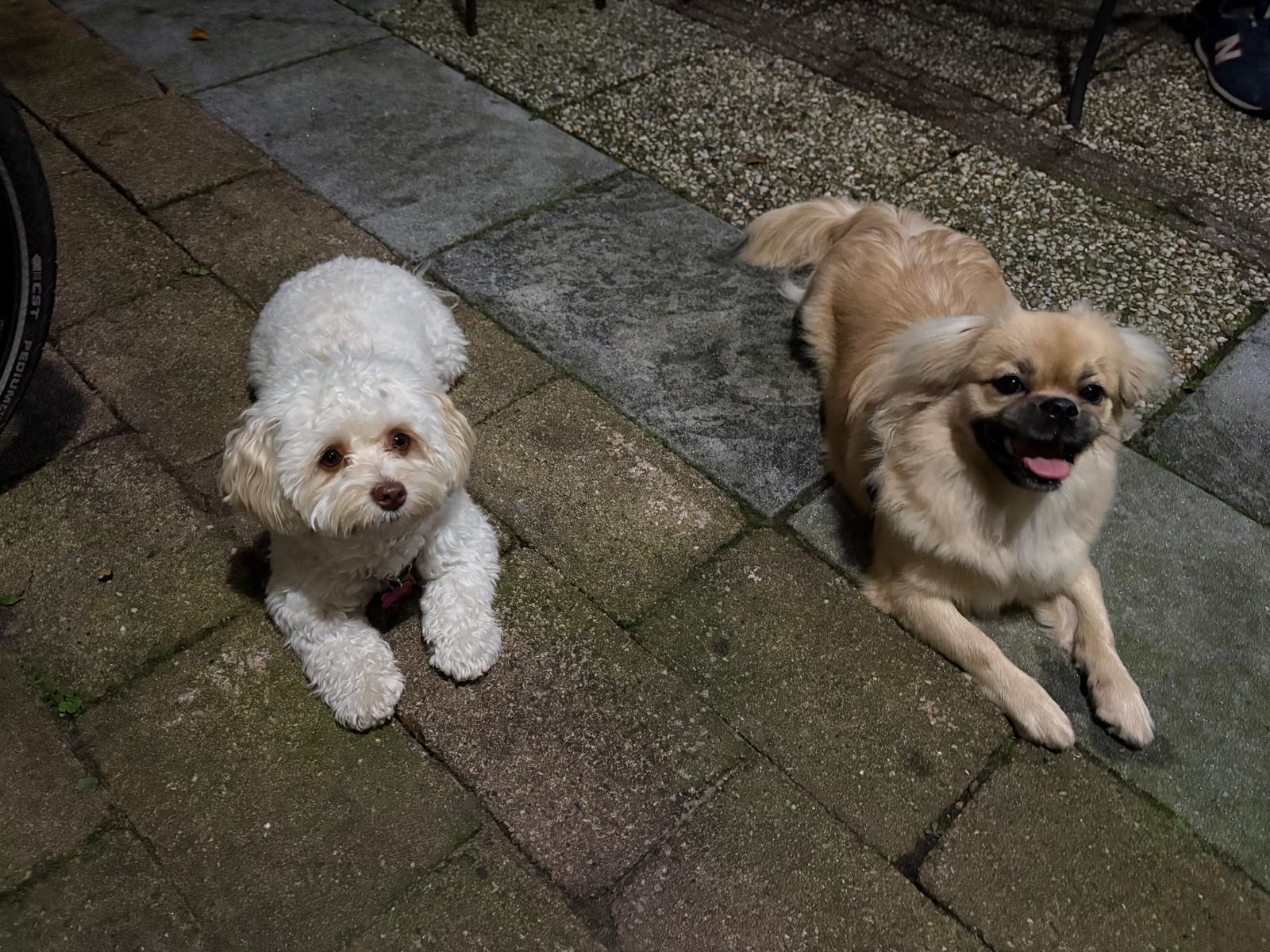 image-42