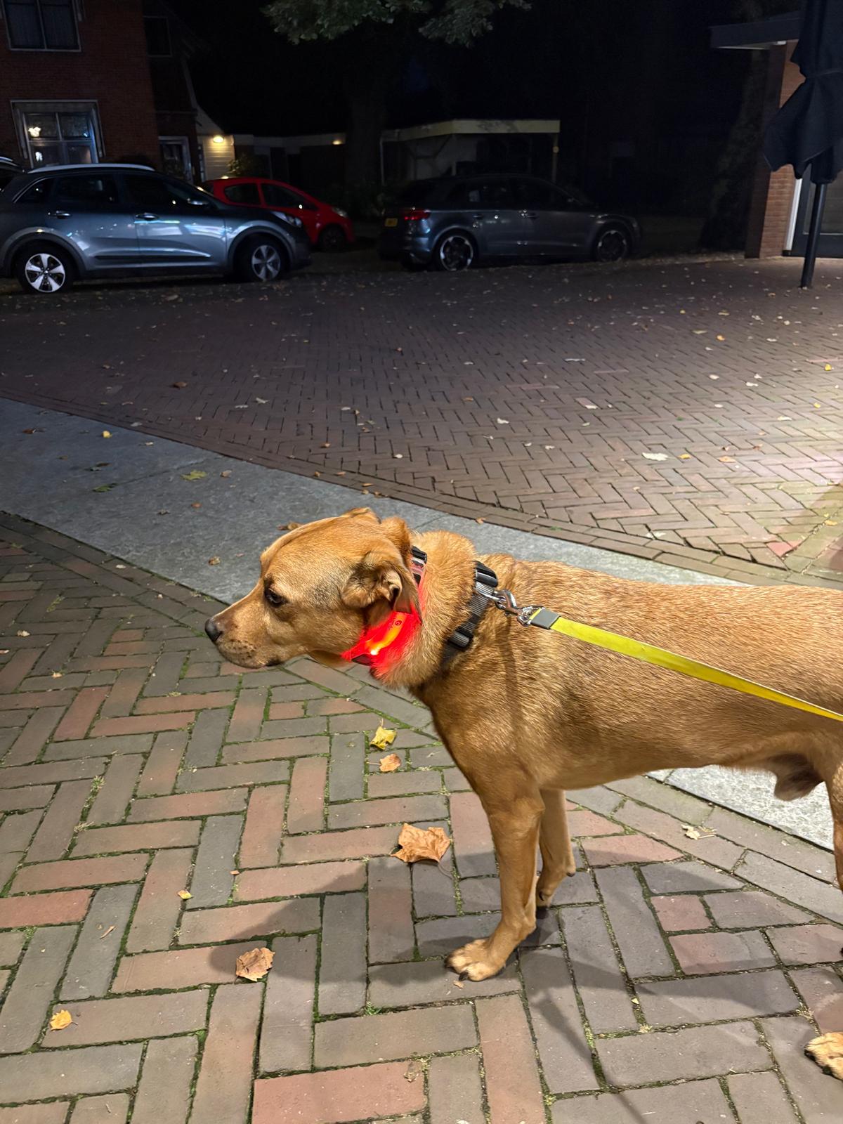 image-26
