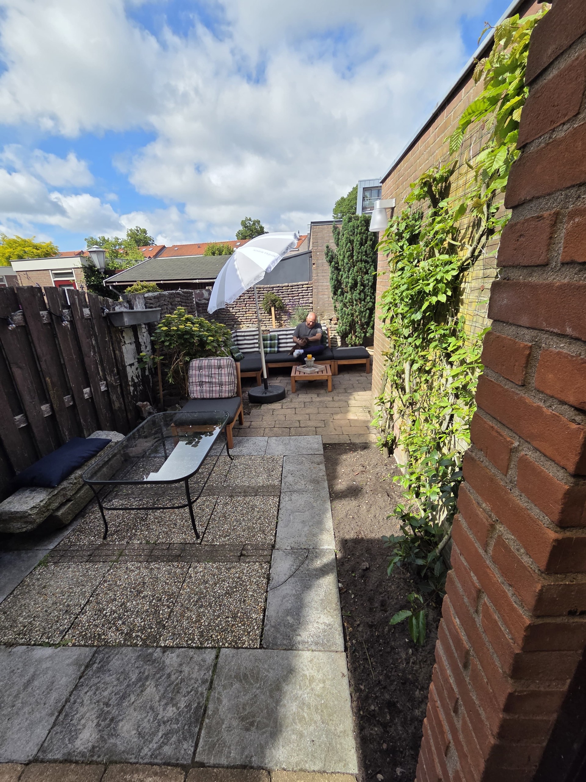 image-19