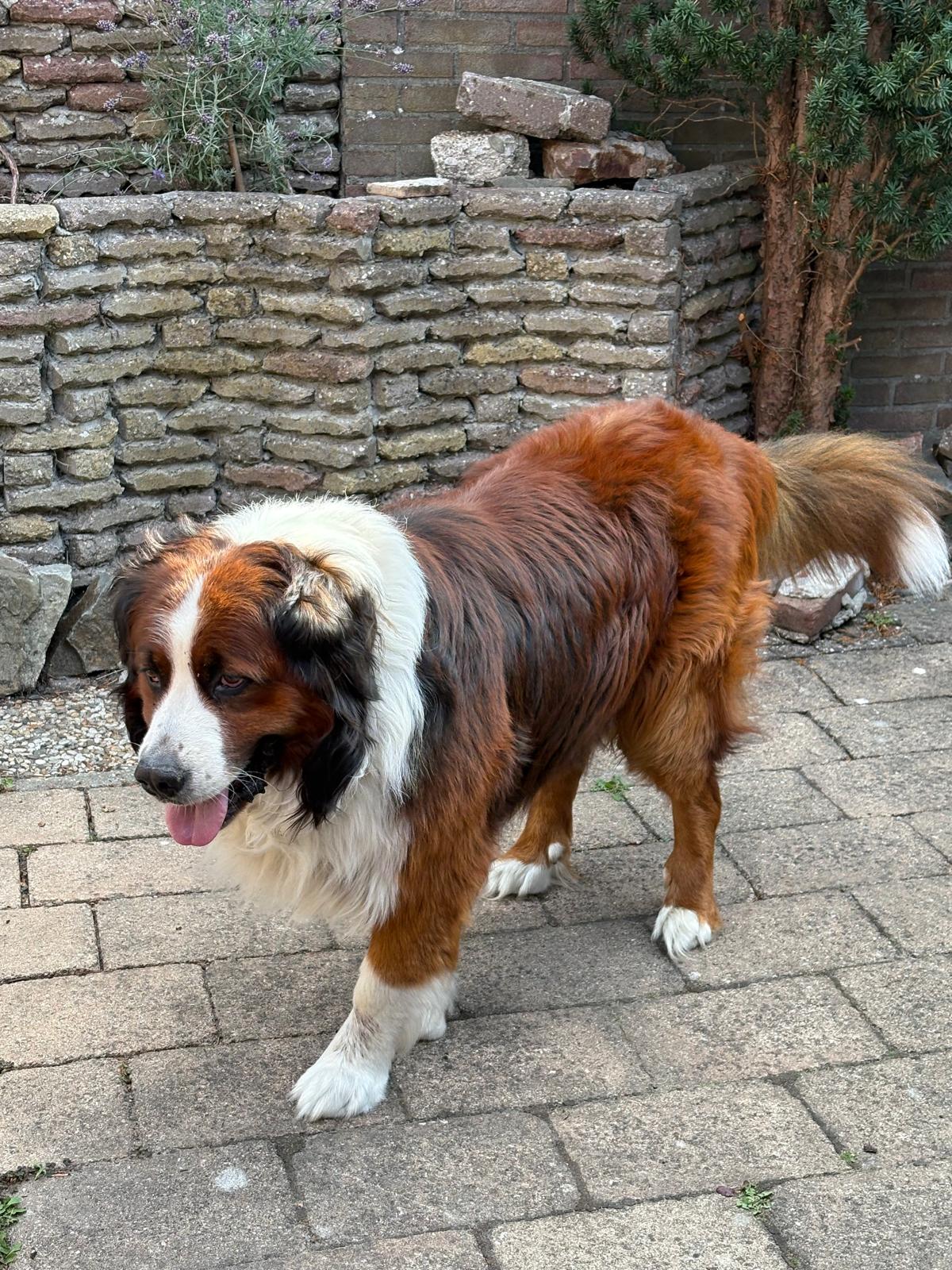image-12