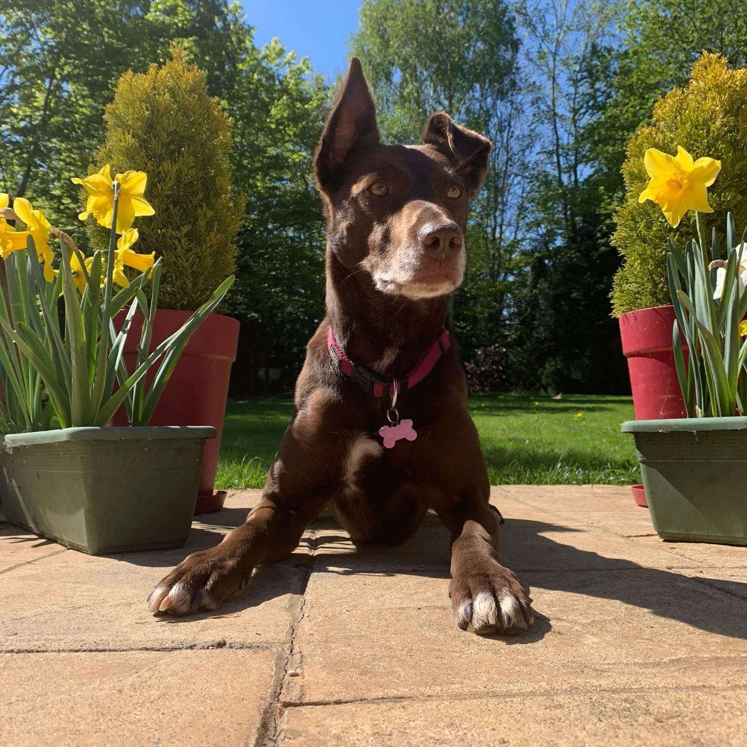 Coco