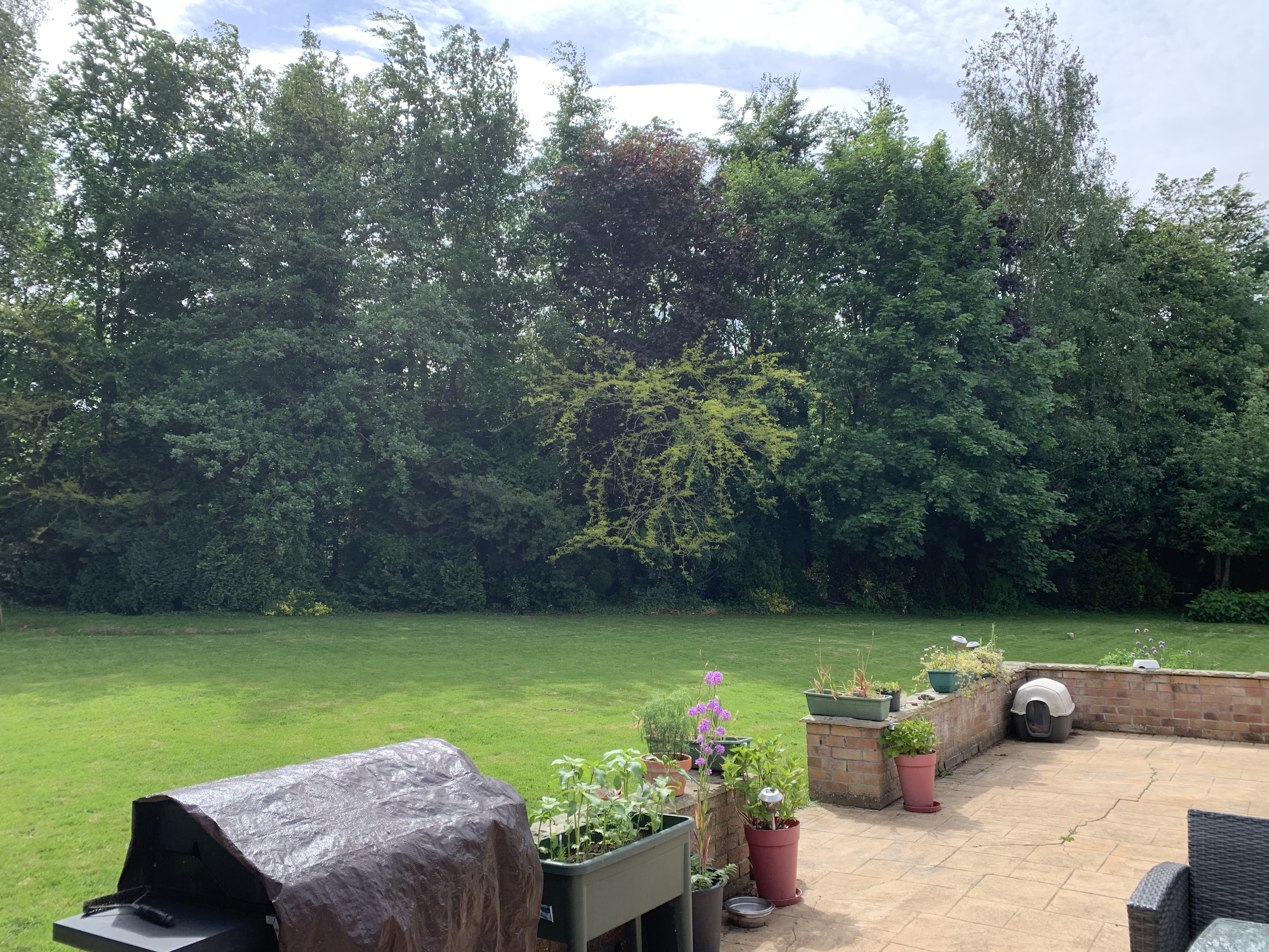 image-11